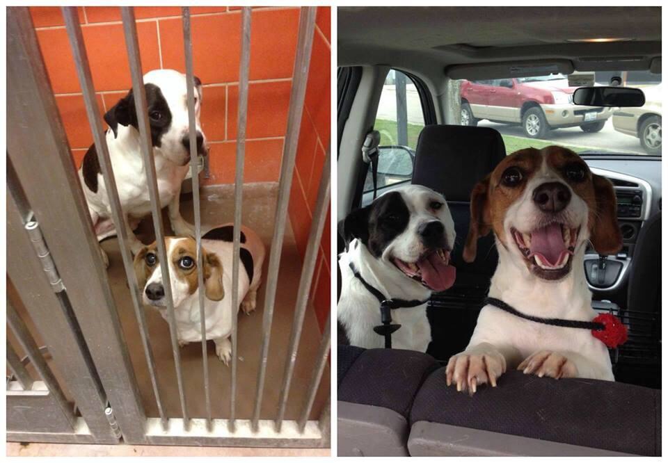 The essence of happiness