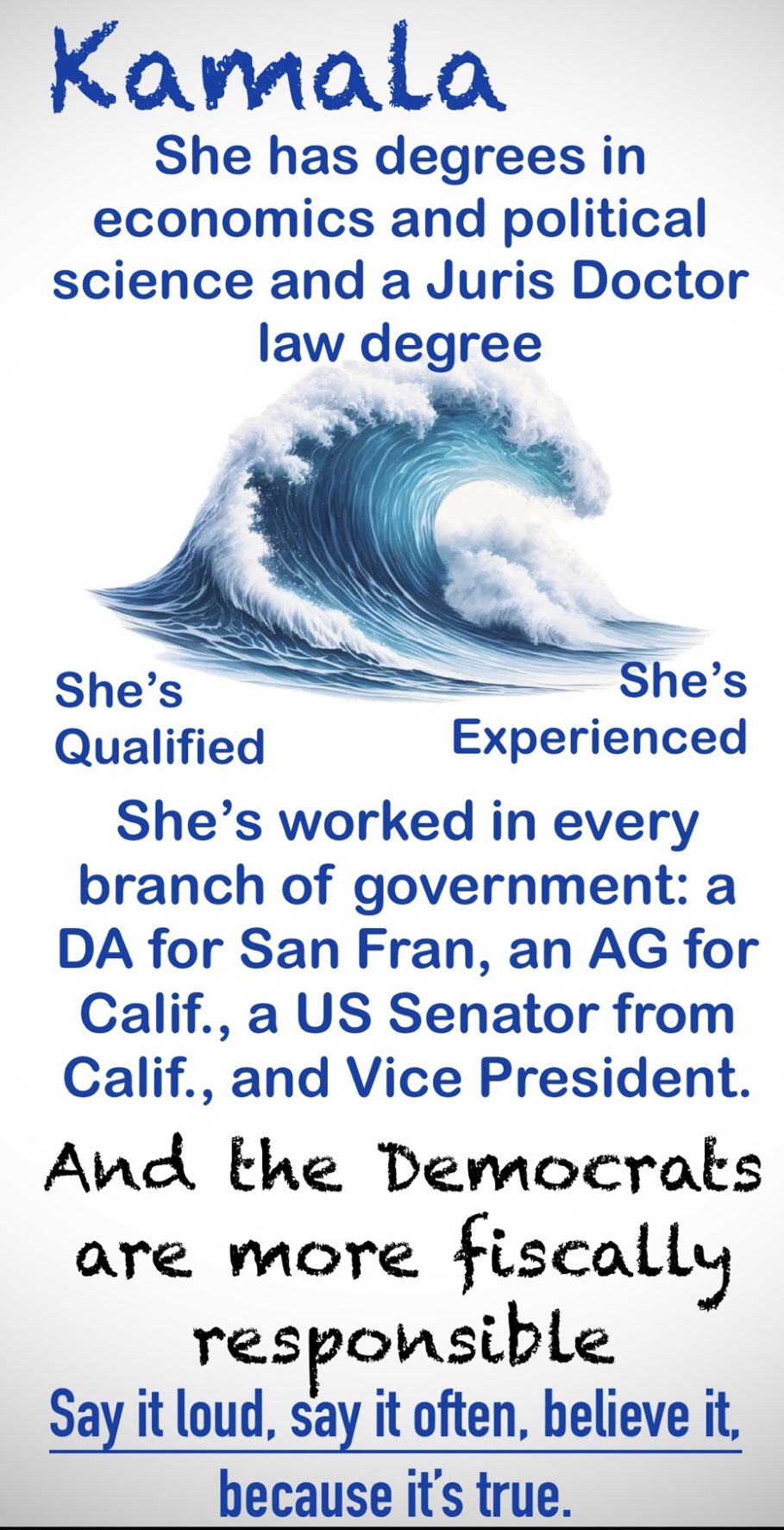 No other candidate in the world matches Kamala Harris's impressive qualifications for the presidency.