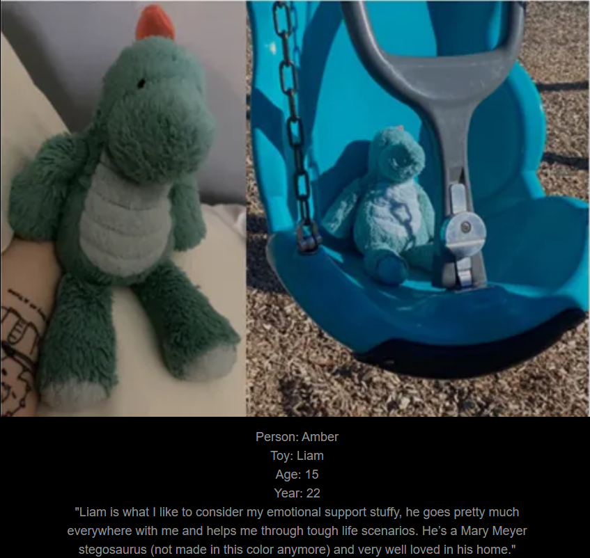 Day 760: Join me on a journey to my website, www.saidtheskinhorse.com, where we celebrate the cherished bond with our beloved childhood toys. Meet Liam, our latest addition!