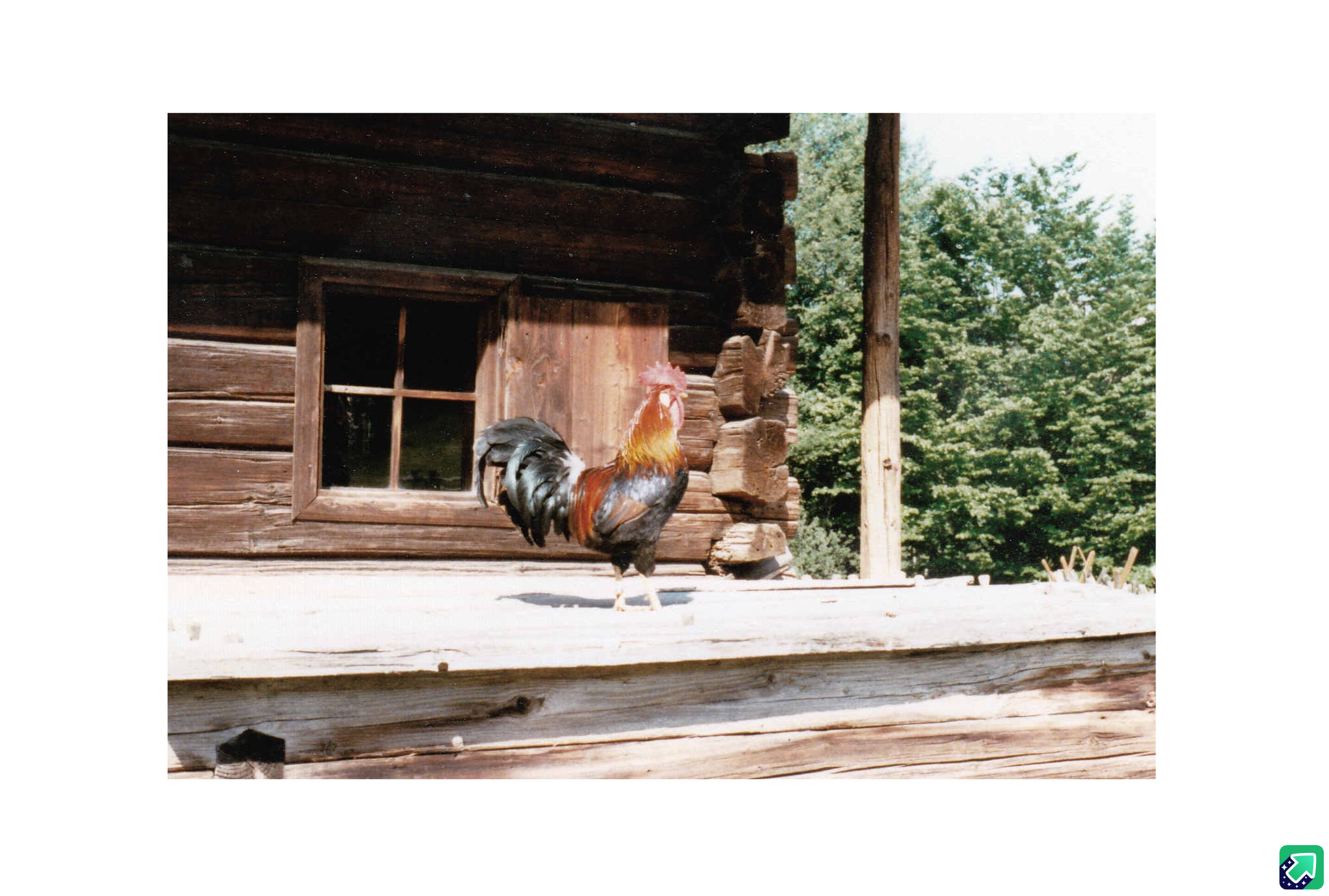 A Snap from Nearly 40 Years Ago at the Tyrolean Farm House Museum in Kramsach, Austria