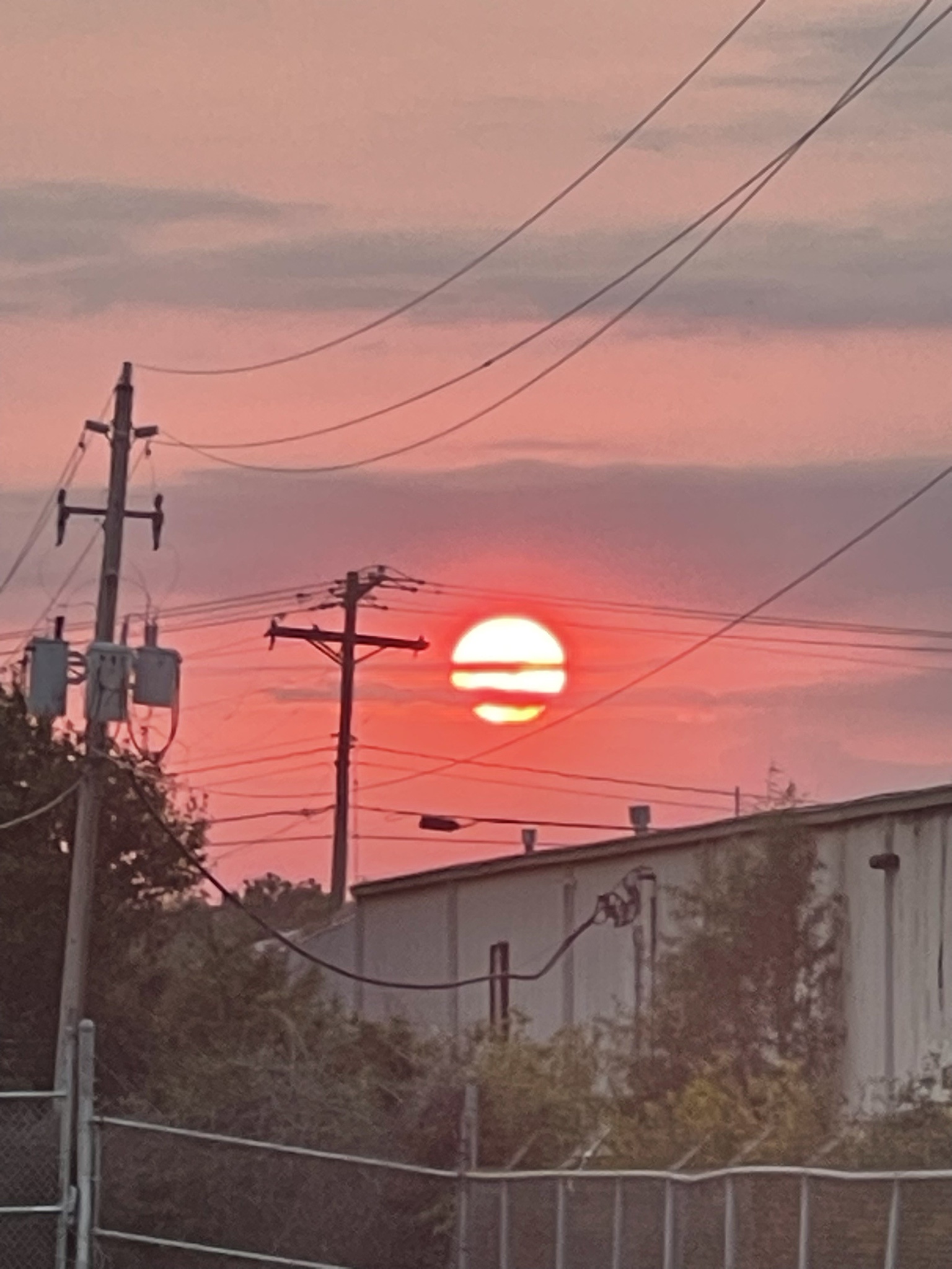 Rise and Shine: Embrace the Day!