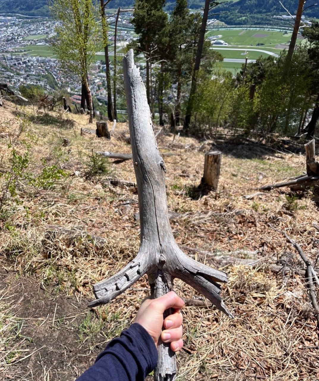 Now That's One Impressive Stick!