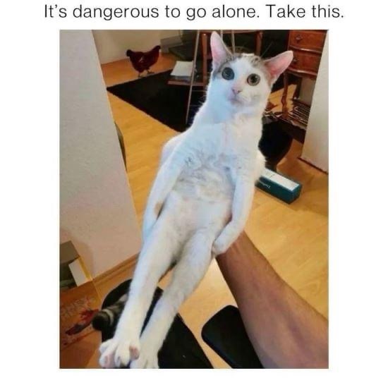A Decent Collection of Stolen Memes for These Challenging Times: 1607.