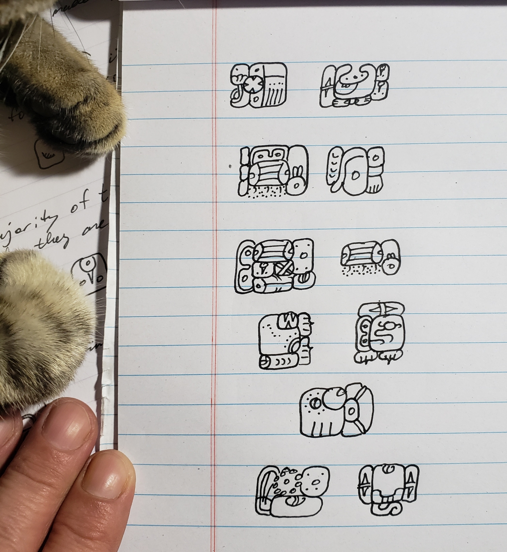 Tzotzil: The Language of the Maya Unveiled