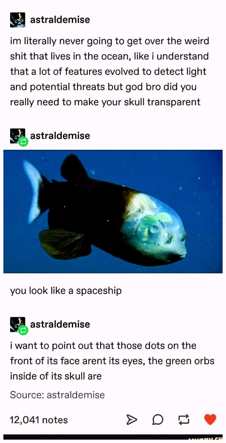The Most Fascinating Feature of This Fish Lies Within...