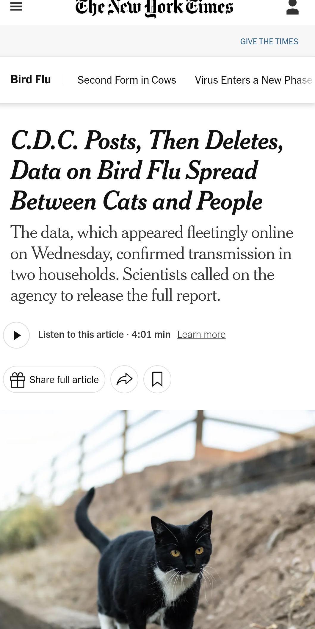 CDC Updates: Bird Flu Transmission No Longer Linked to Cats