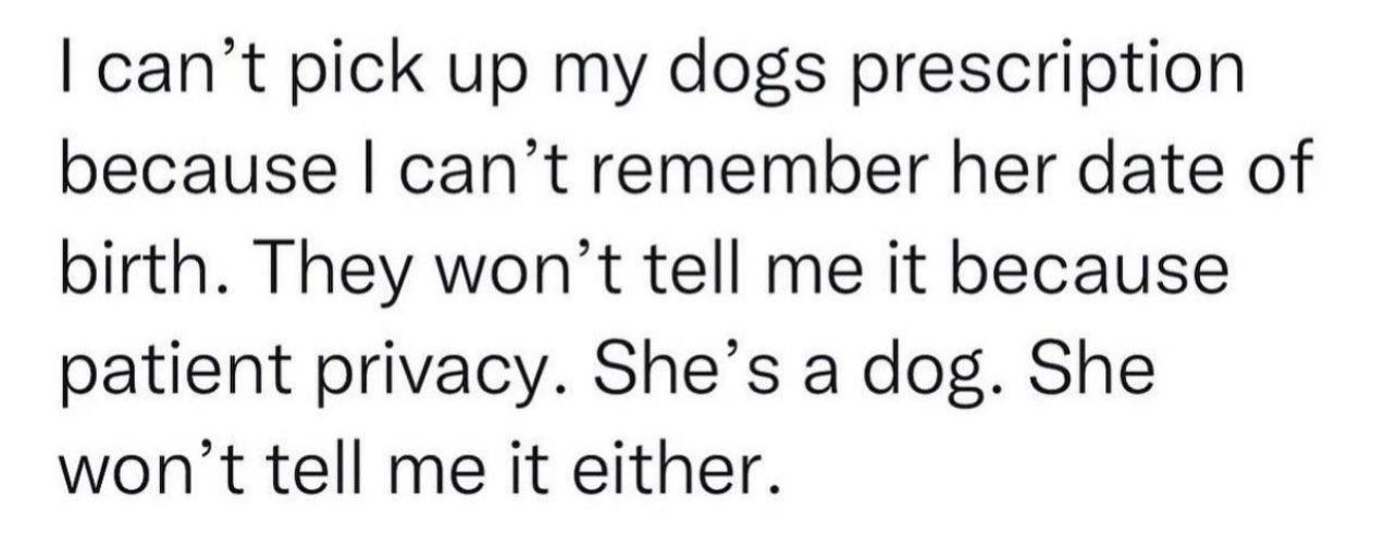 The 488th Volume of My Phone's Unremovable Gems: DOGS!!! Edition #23