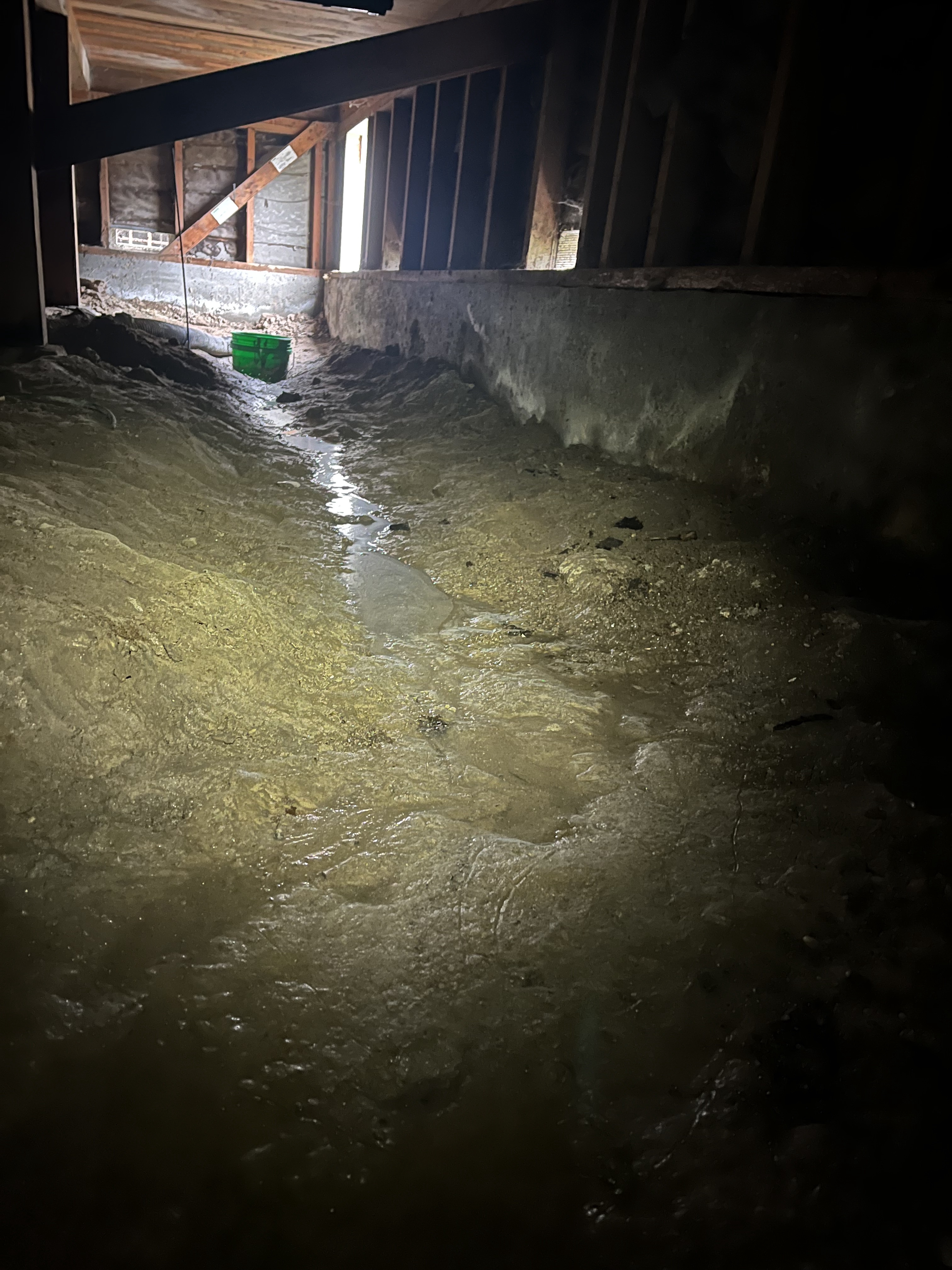 The Perils of Crawlspace Water: A Hidden Dilemma