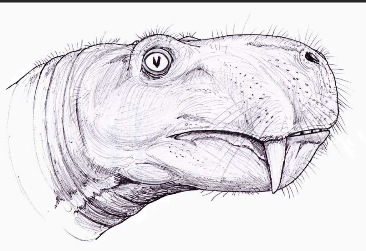 Gorgonopsians: The Creatures That Redefine Ugly!
