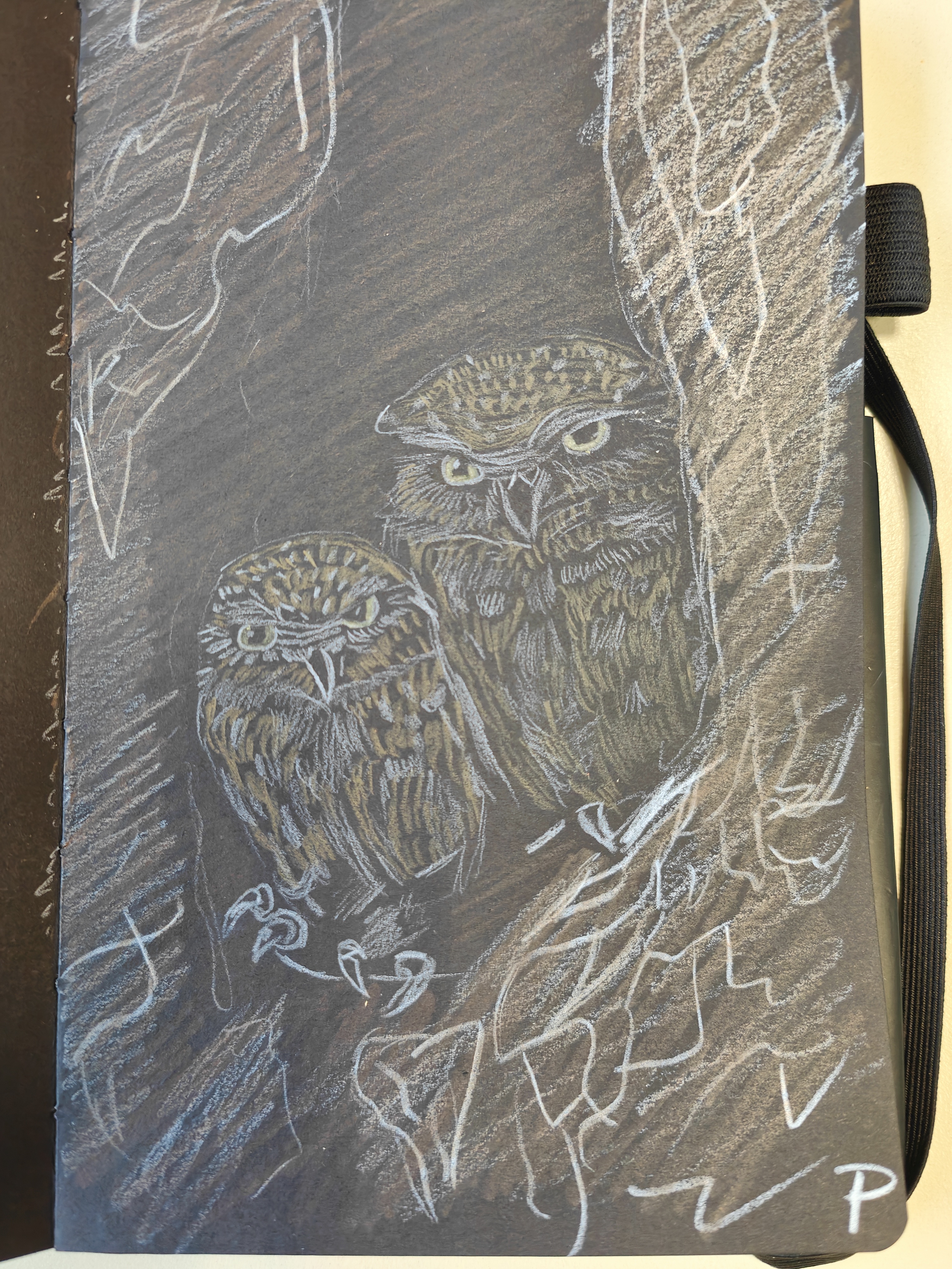 The Majestic World of Owls