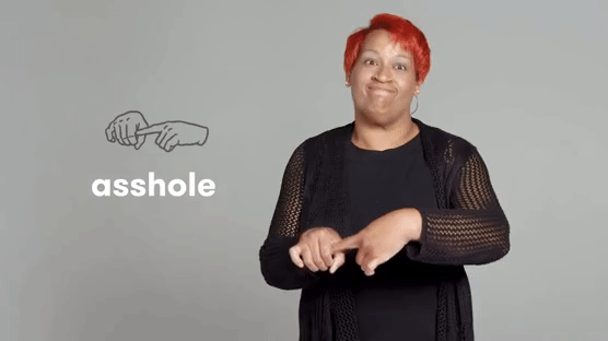 Expressing Profanity in Sign Language