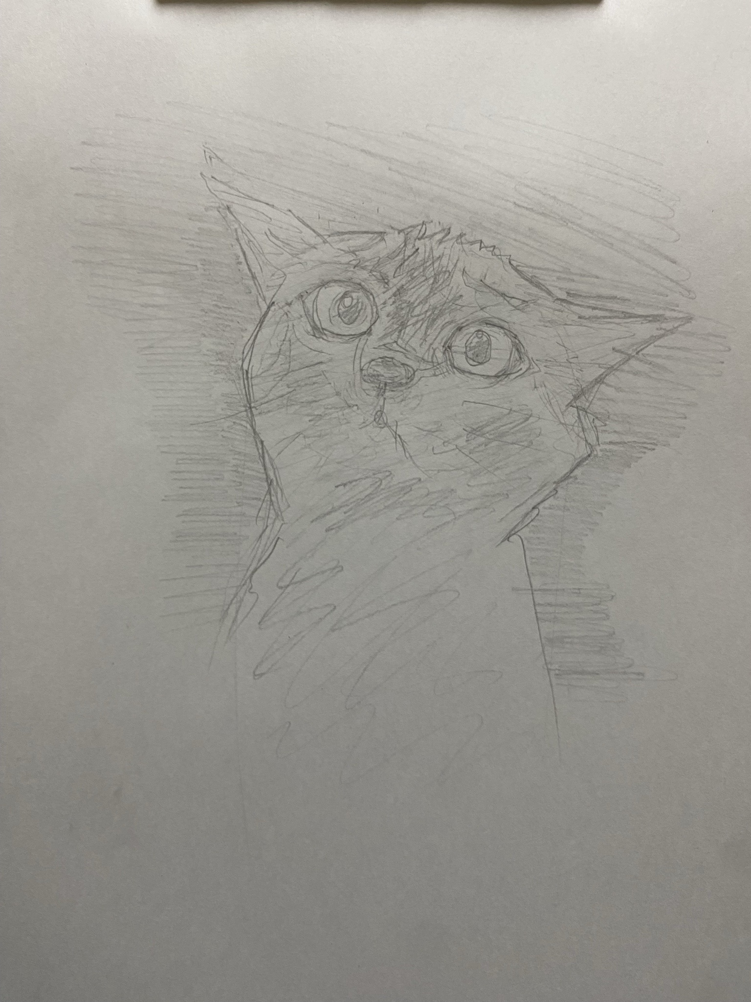 Sketch 1105: A Creative Exploration