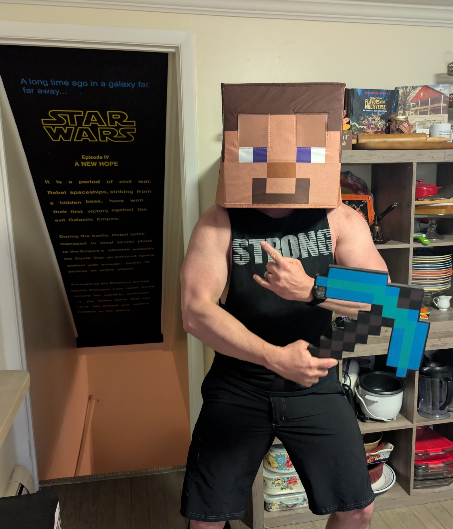 Kiddo is dressing up as the Ender Dragon and wants me to be Steve—let's do this!