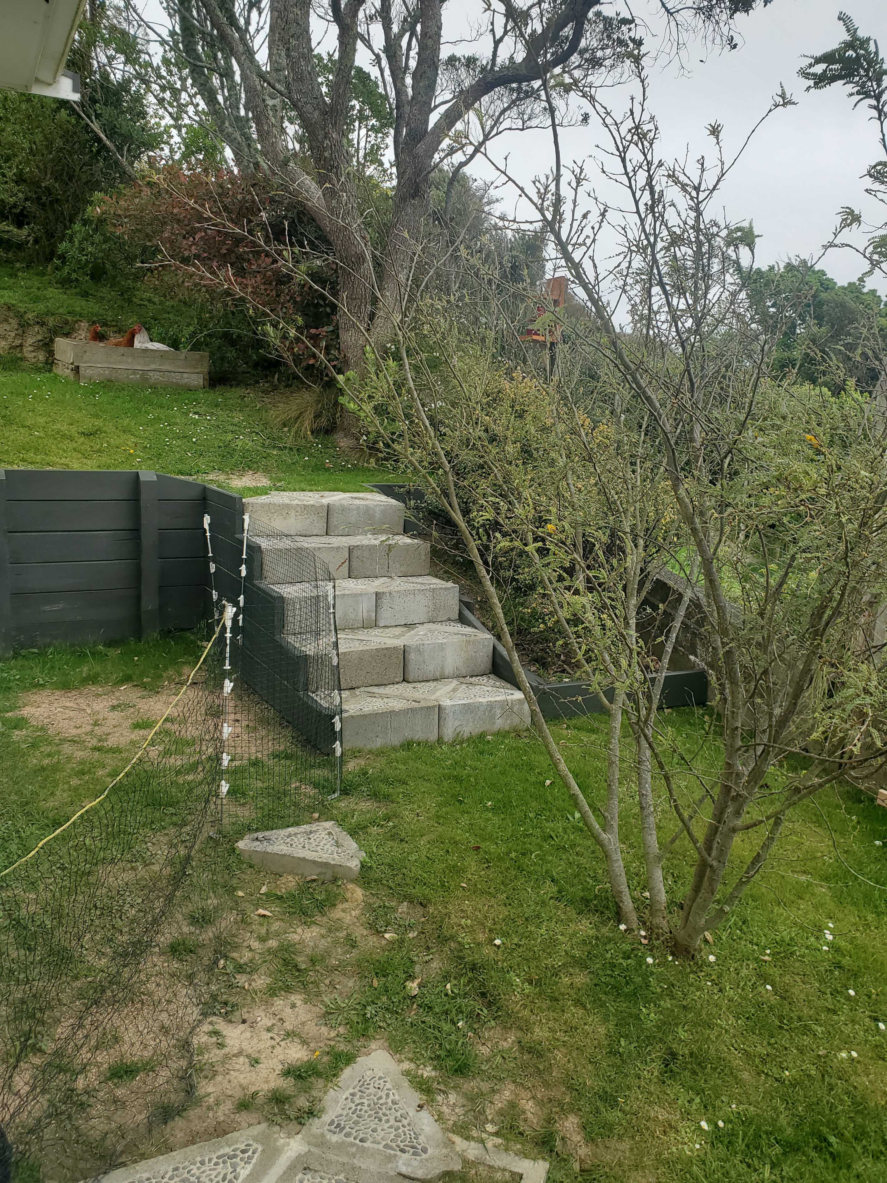 Brick Steps: A Glimpse into 2024