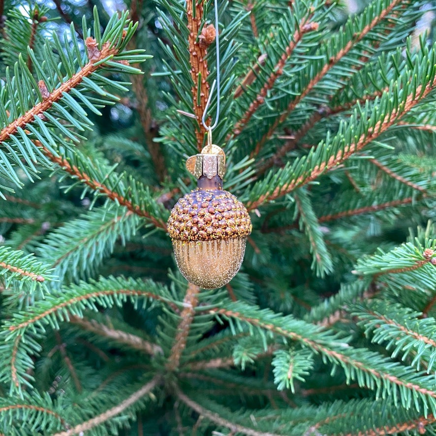 Wishing You a Merry Christmasacorn!