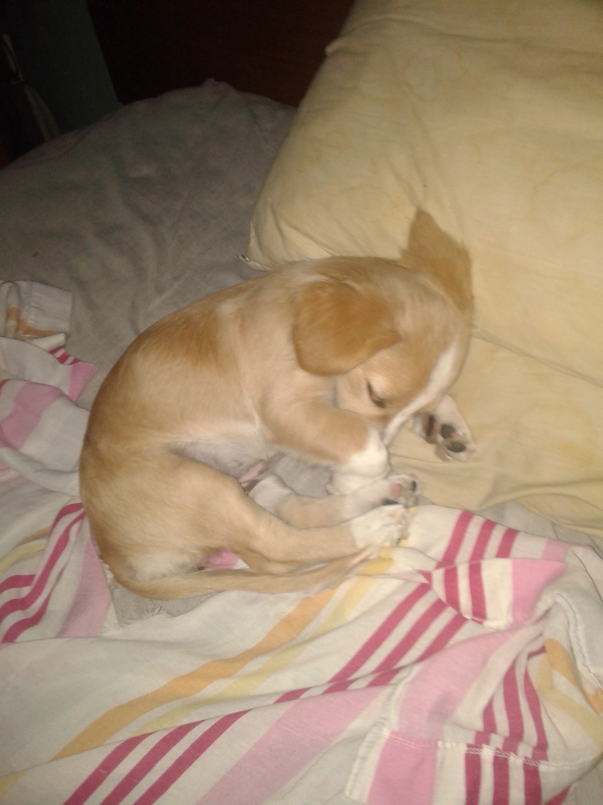 Throwback to 8 Years Ago: My Baby Girl Still Sleeps Like This!