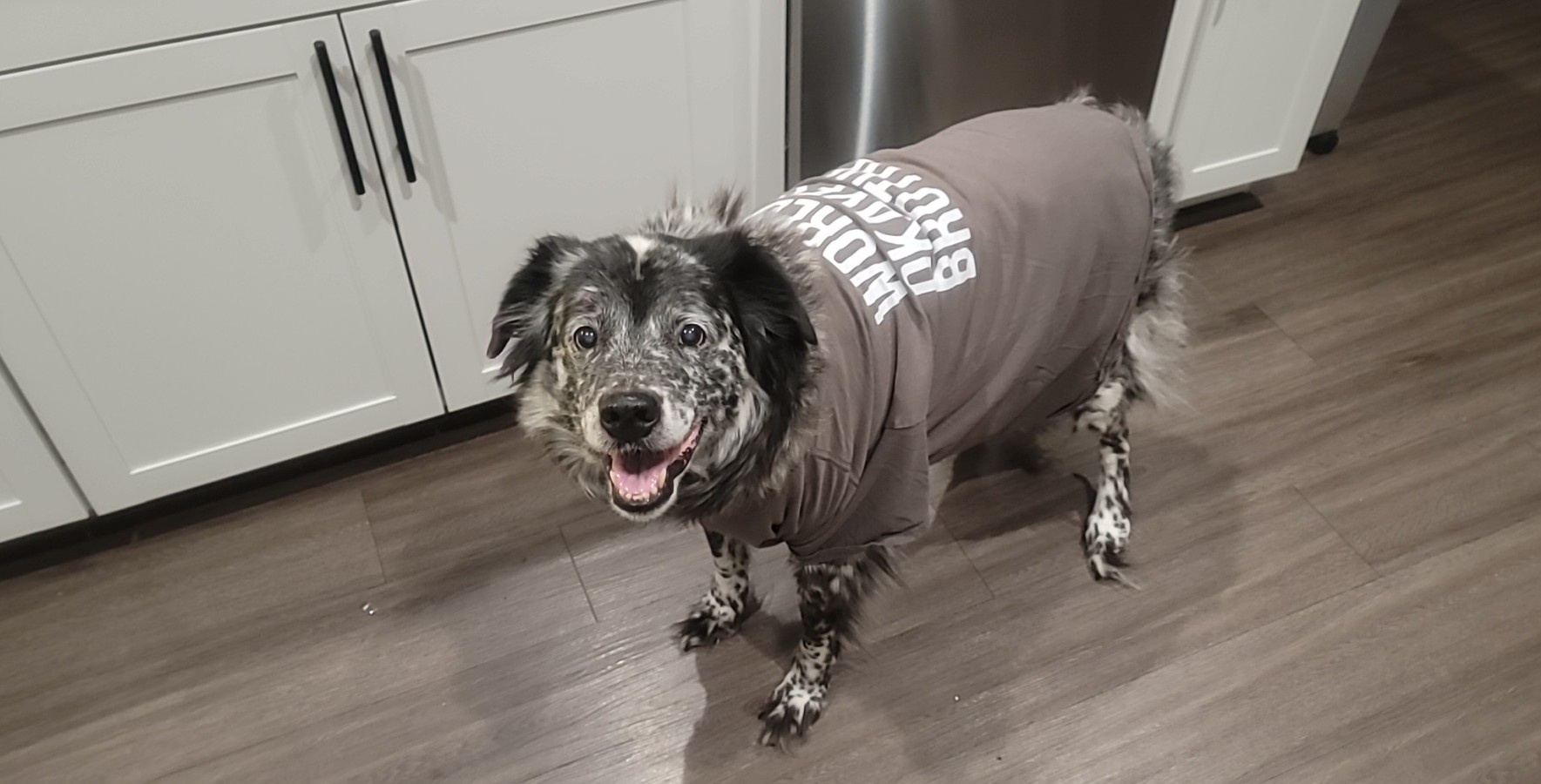 Murph Rocking a Ridiculous Shirt