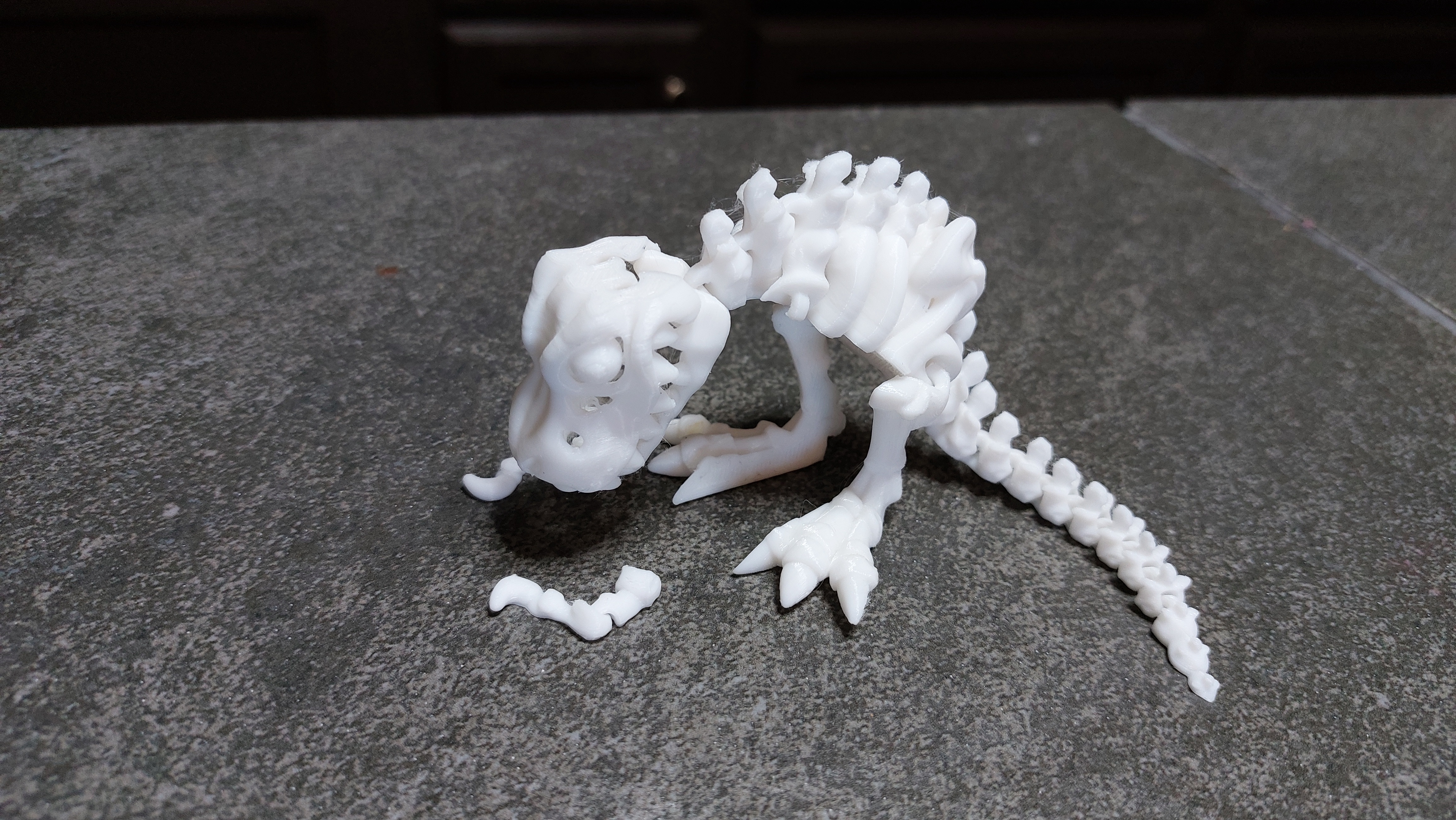 The Struggles of Being a T-Rex