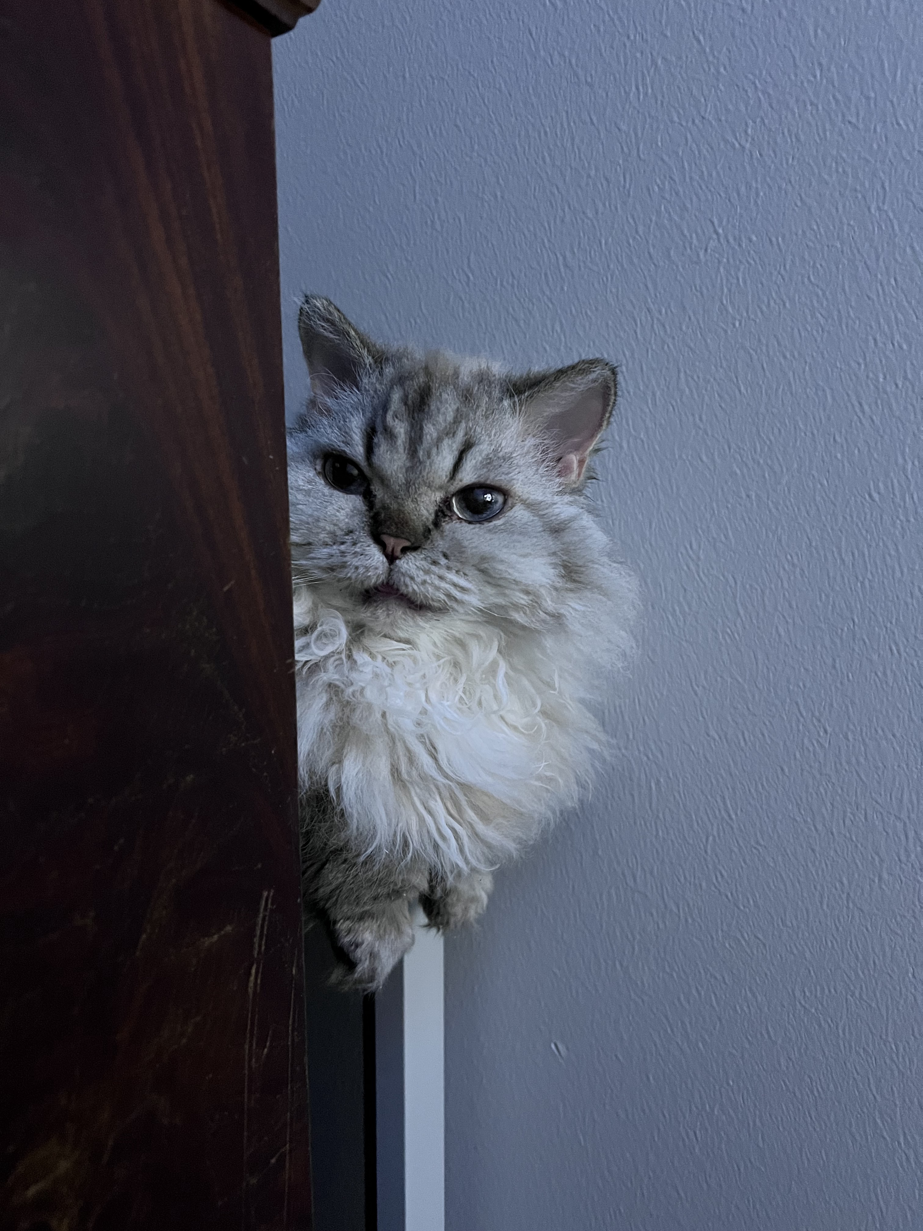 What’s going on over there?