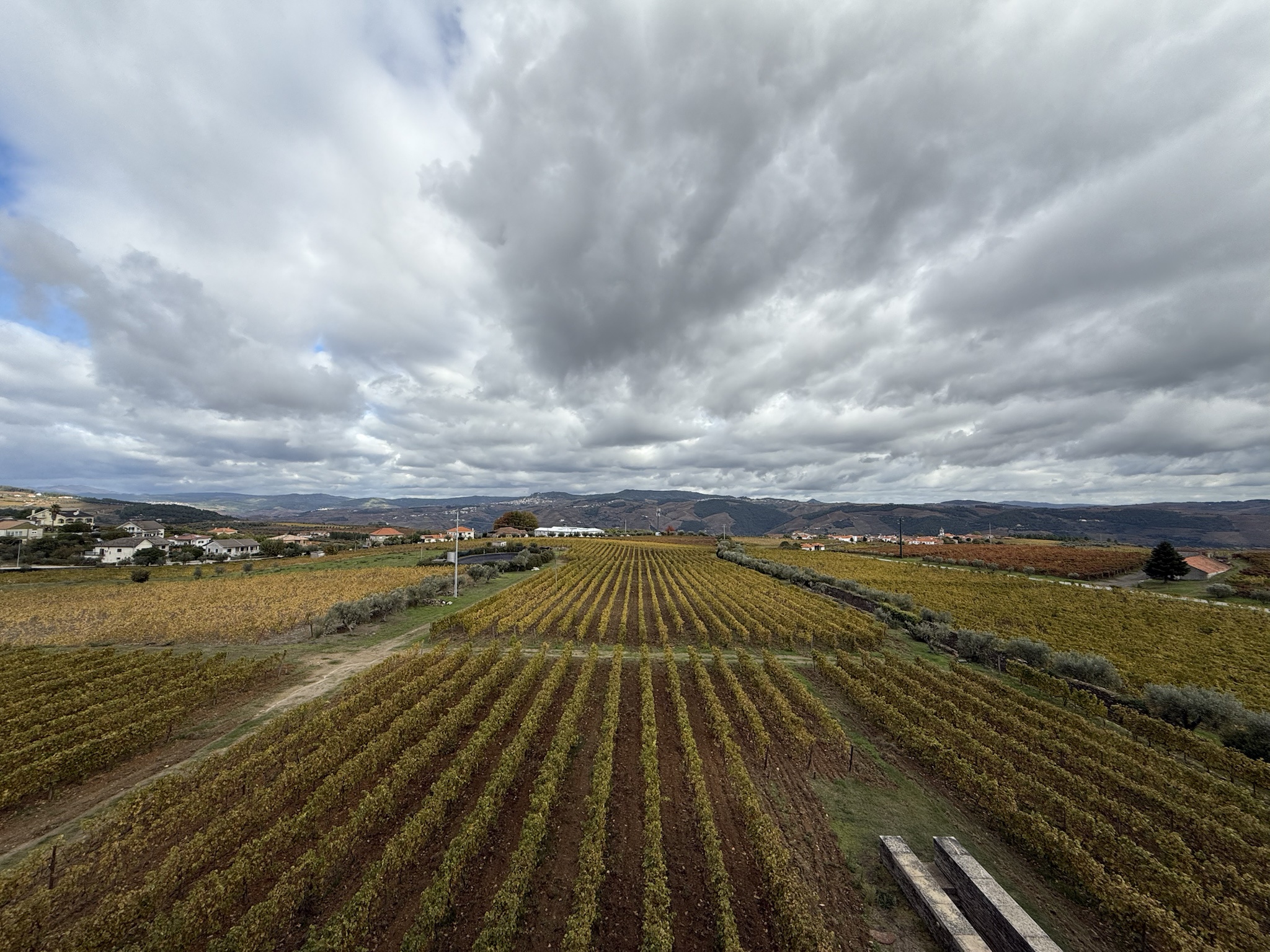 Discovering the Charm of Porto and Its Amazing Wine