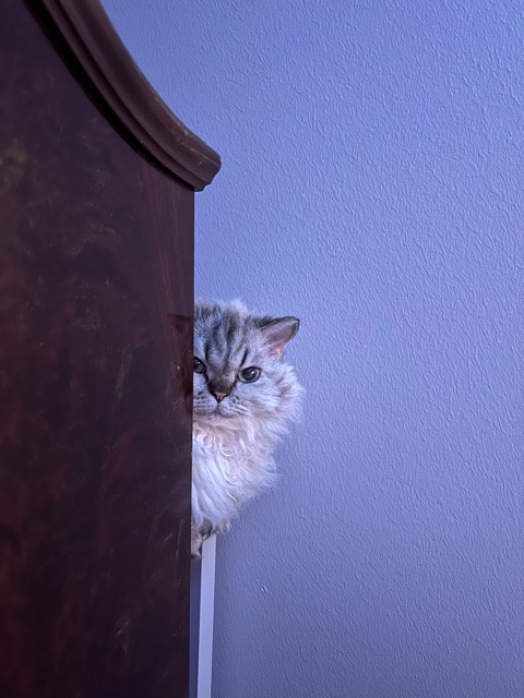Time to Wake Up, Human!
