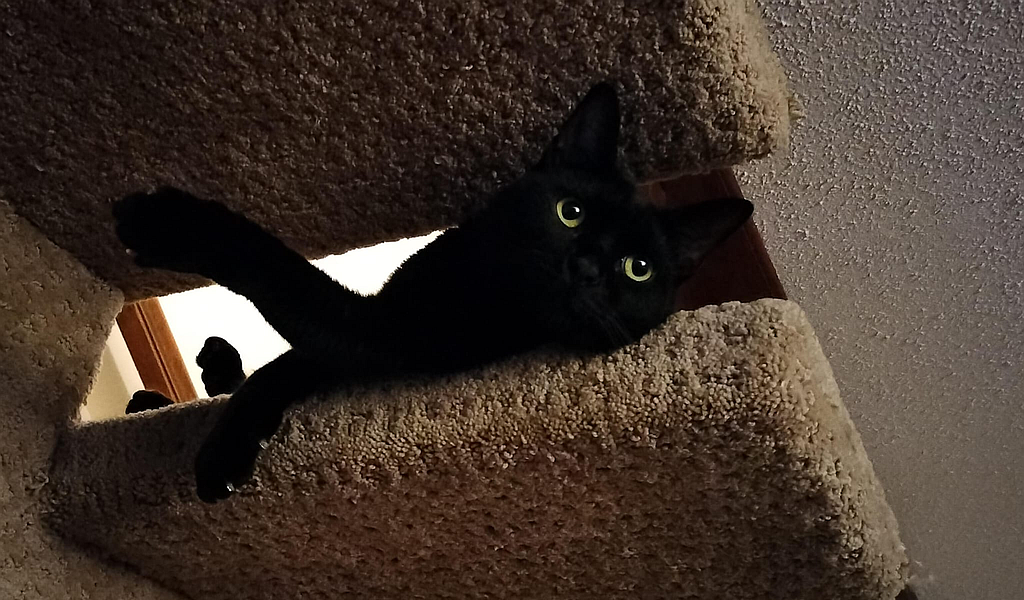 Mr. Barry's eyes are looking exceptionally captivating these days.