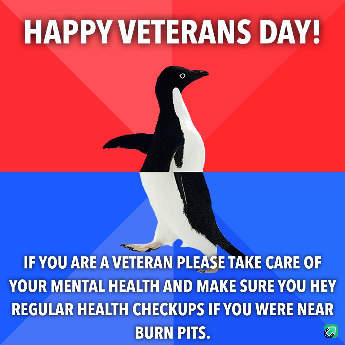 Honoring Our Heroes on Veterans Day