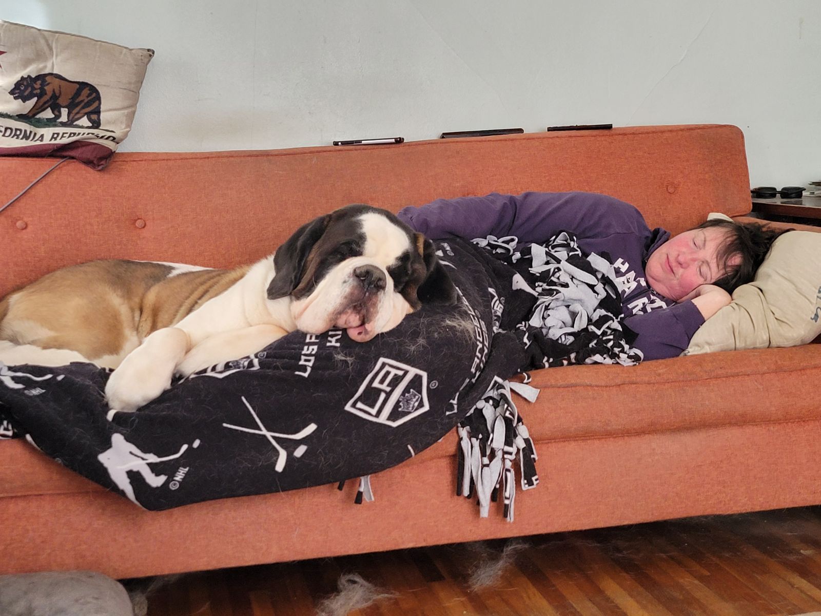 Mastering the Art of Couch Sleeping with a 140-Pound Dog