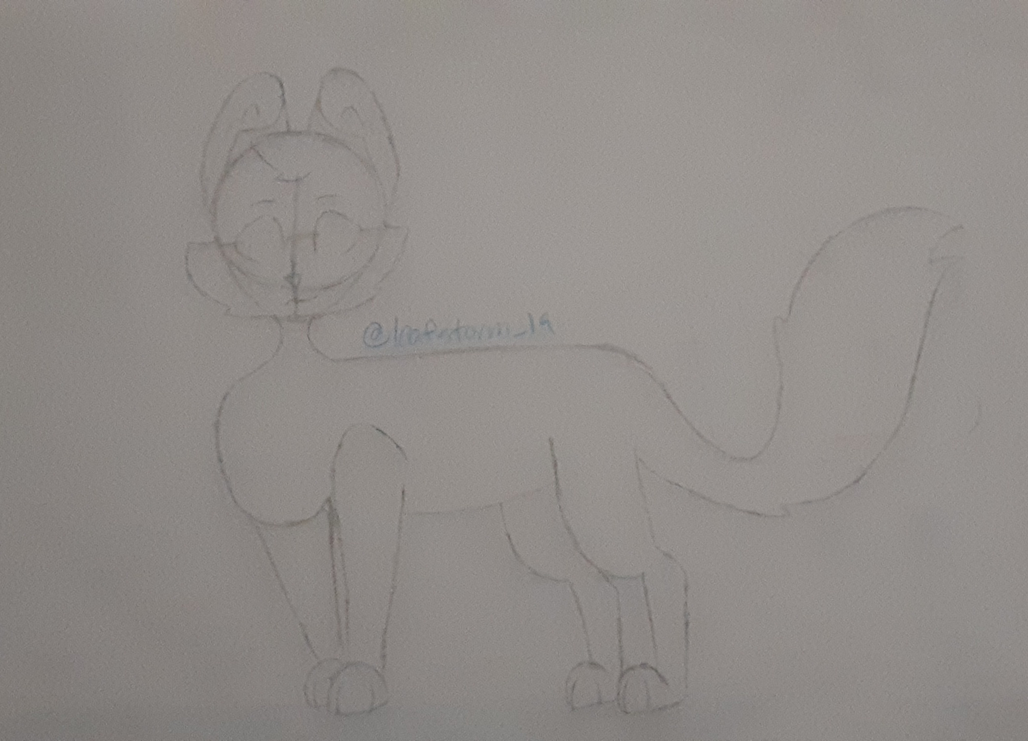 Artistic Cat Sketches: Not Your Average Furry