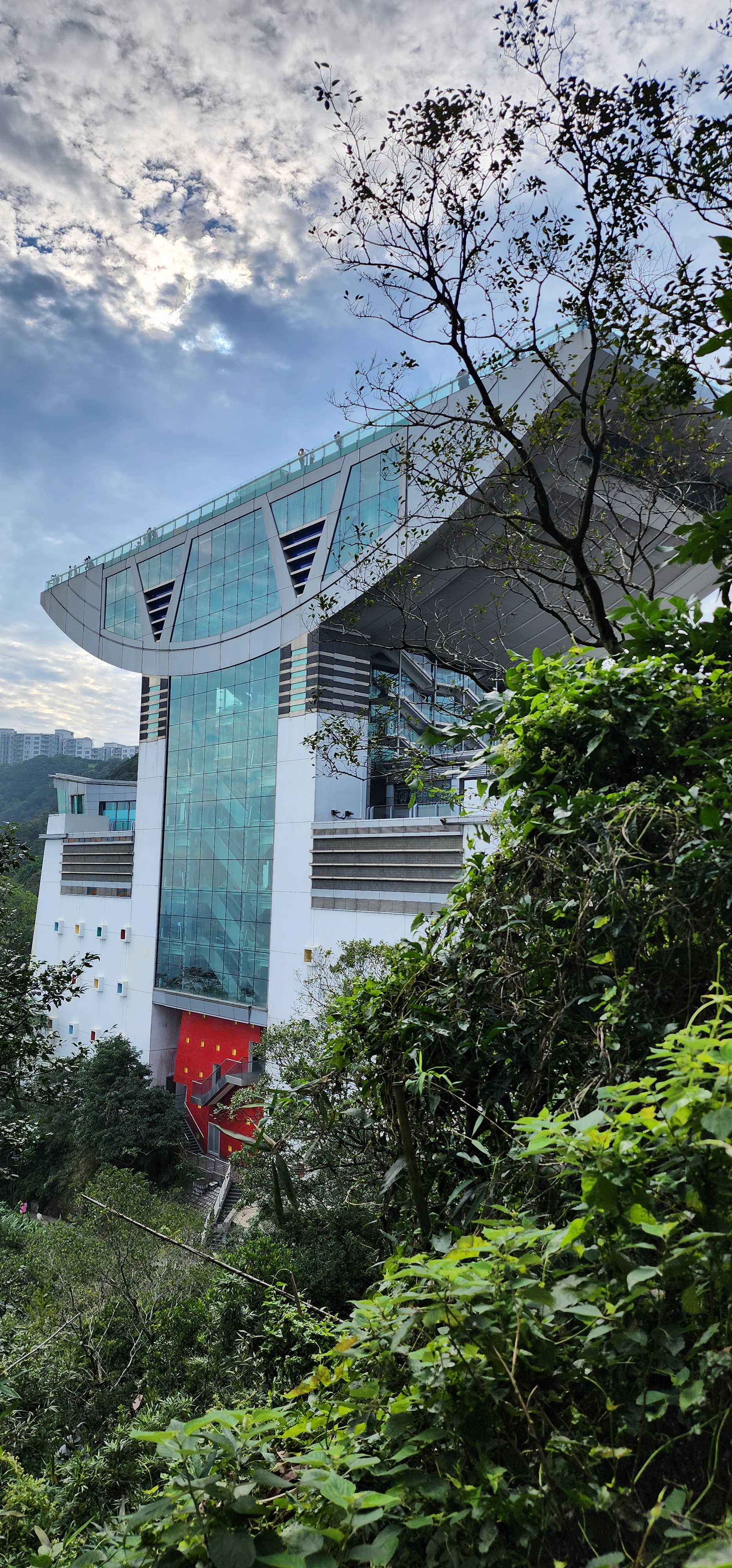 Morning Bliss: A Scenic Stroll Around the Peak