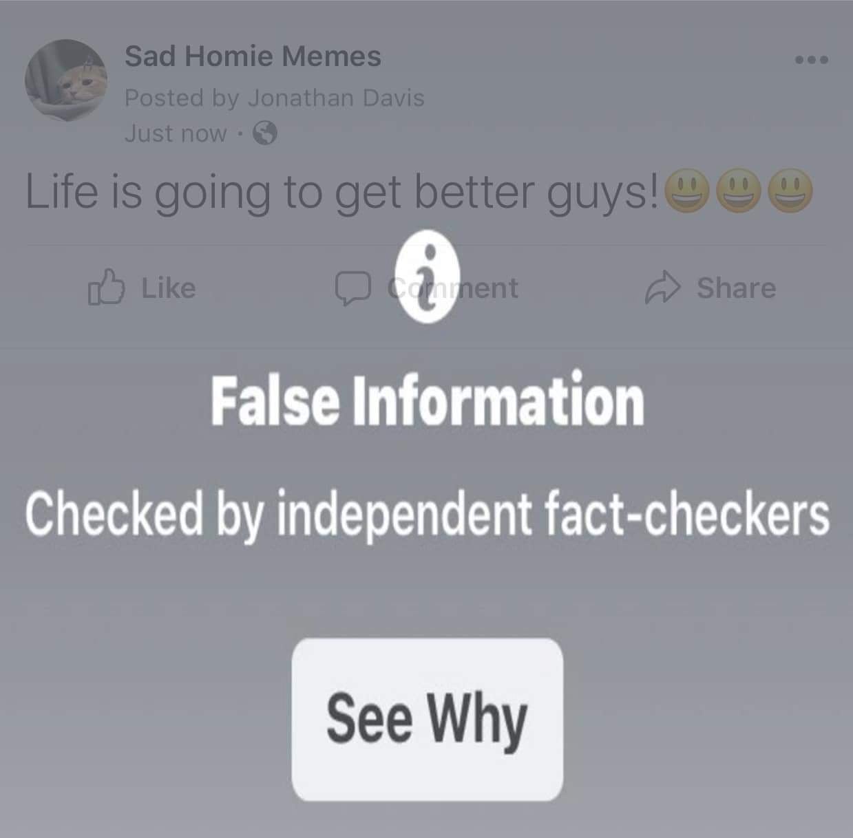 At Last, Facebook AI Finally Understands!