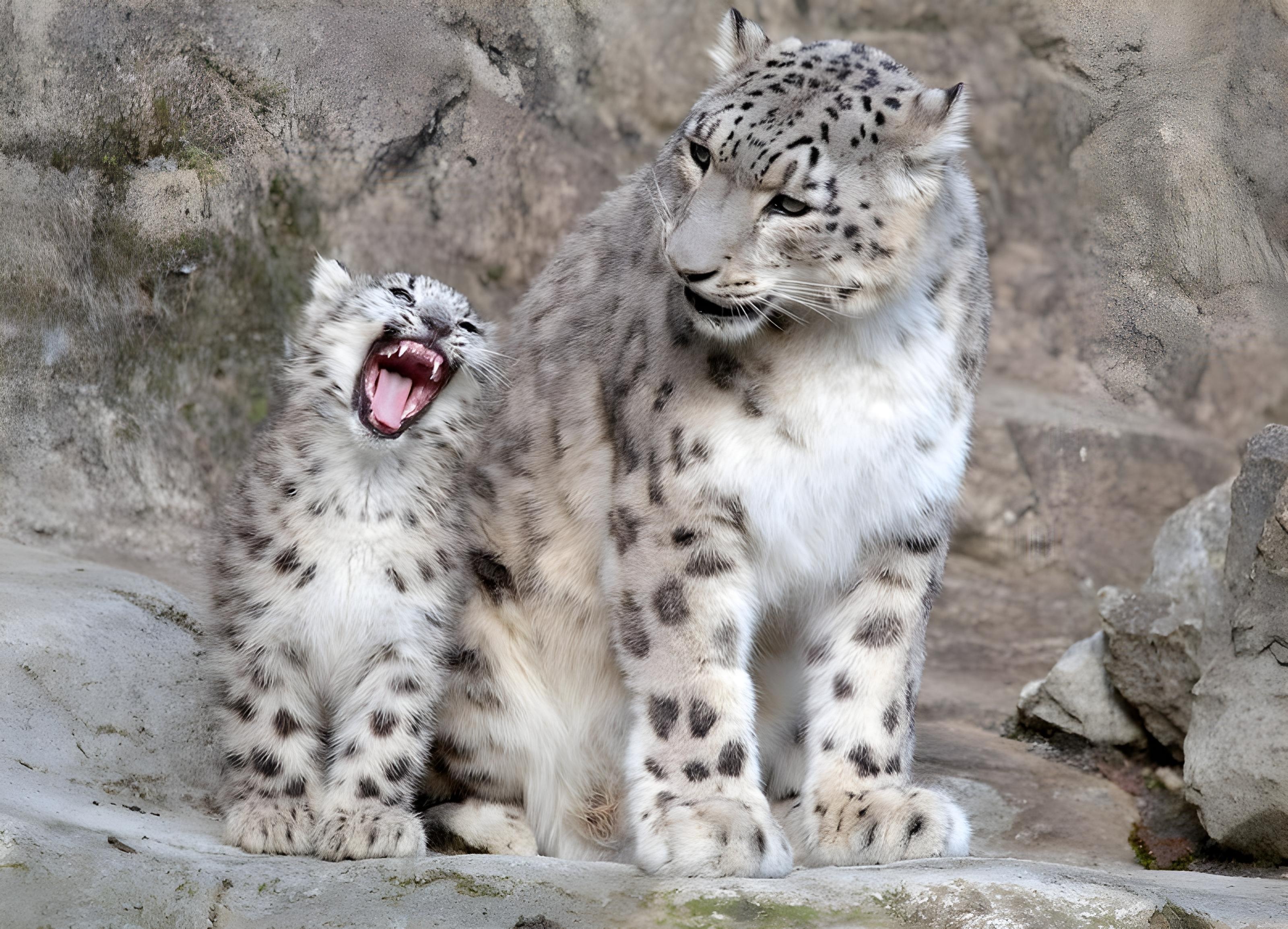 Of course, Mom! I definitely brushed my teeth!