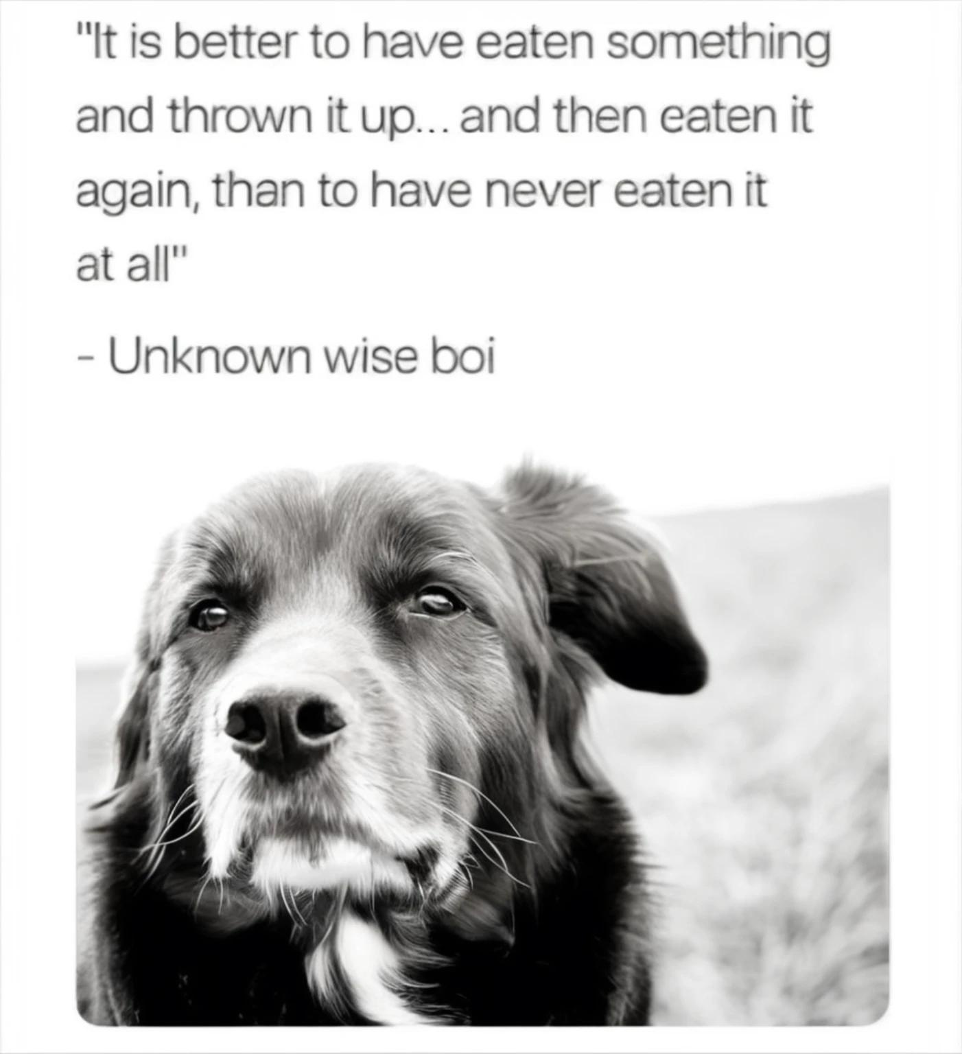 Truly Wise Words to Live By...