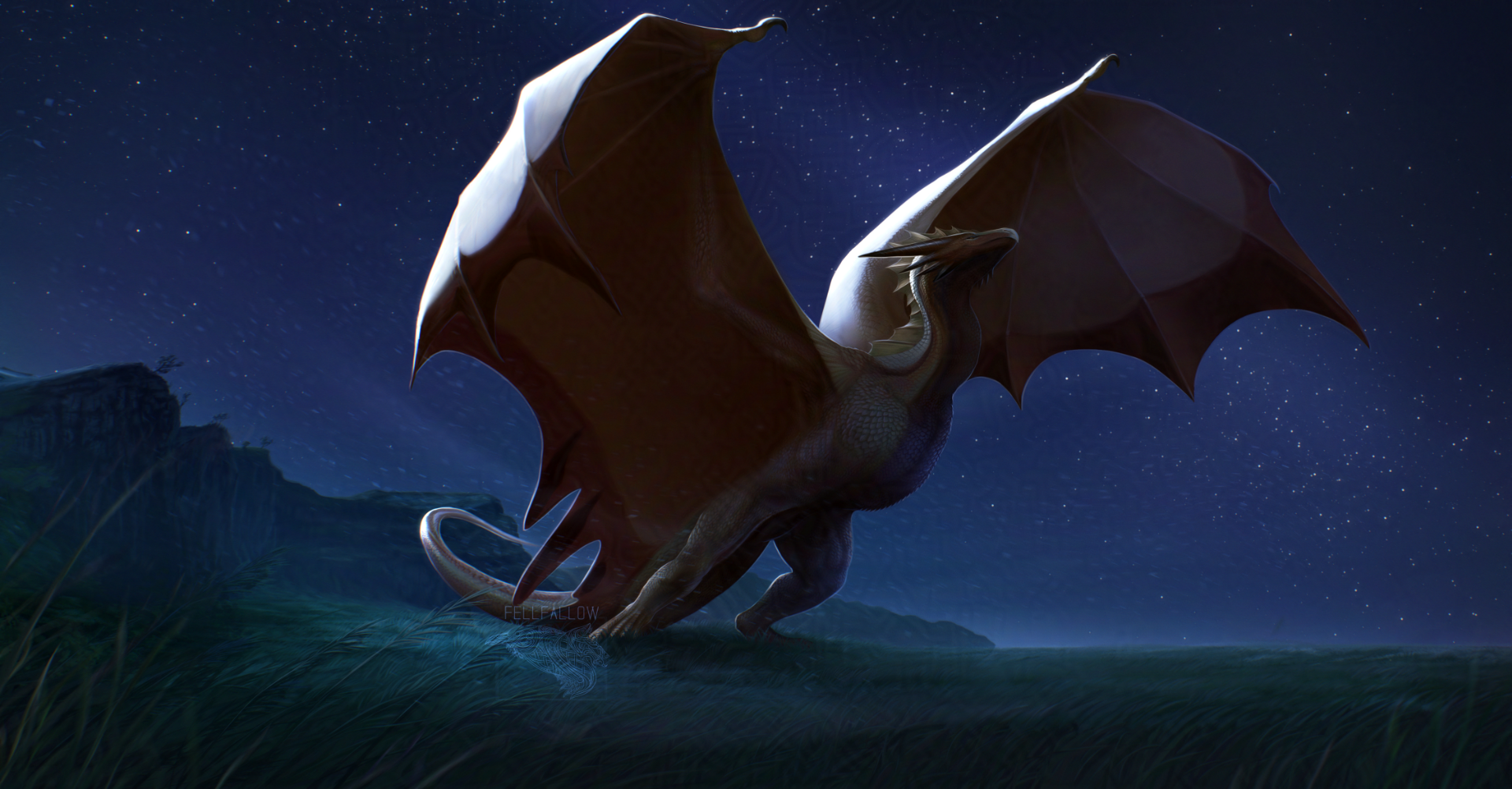 Under the moon's gentle guidance