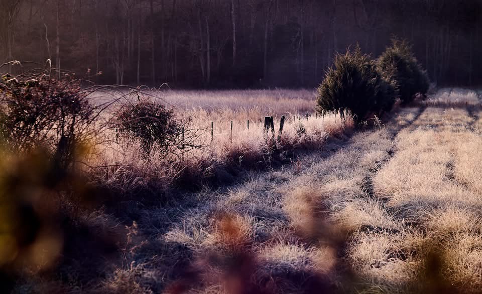 Exploring the Field: A Journey Awaits