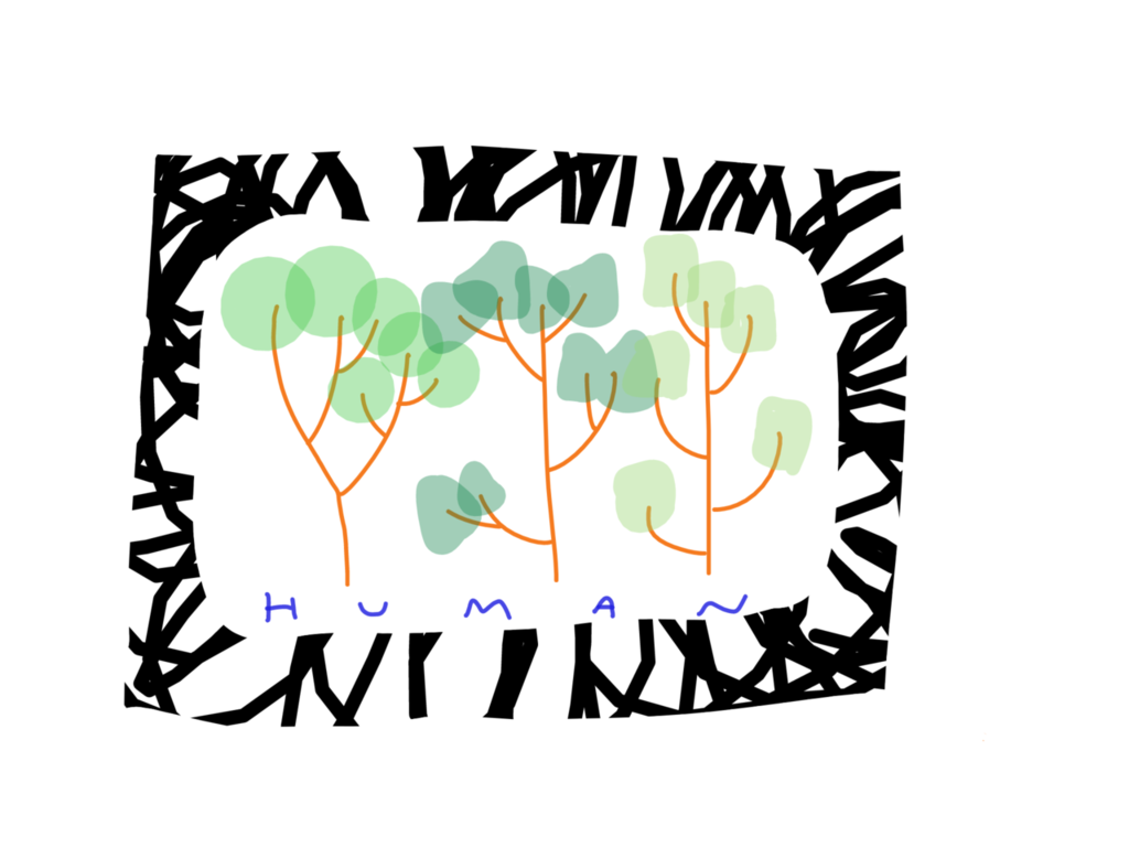 Exploring the Harmony of Trees, Crops, and Memes on My Regenerative Farm