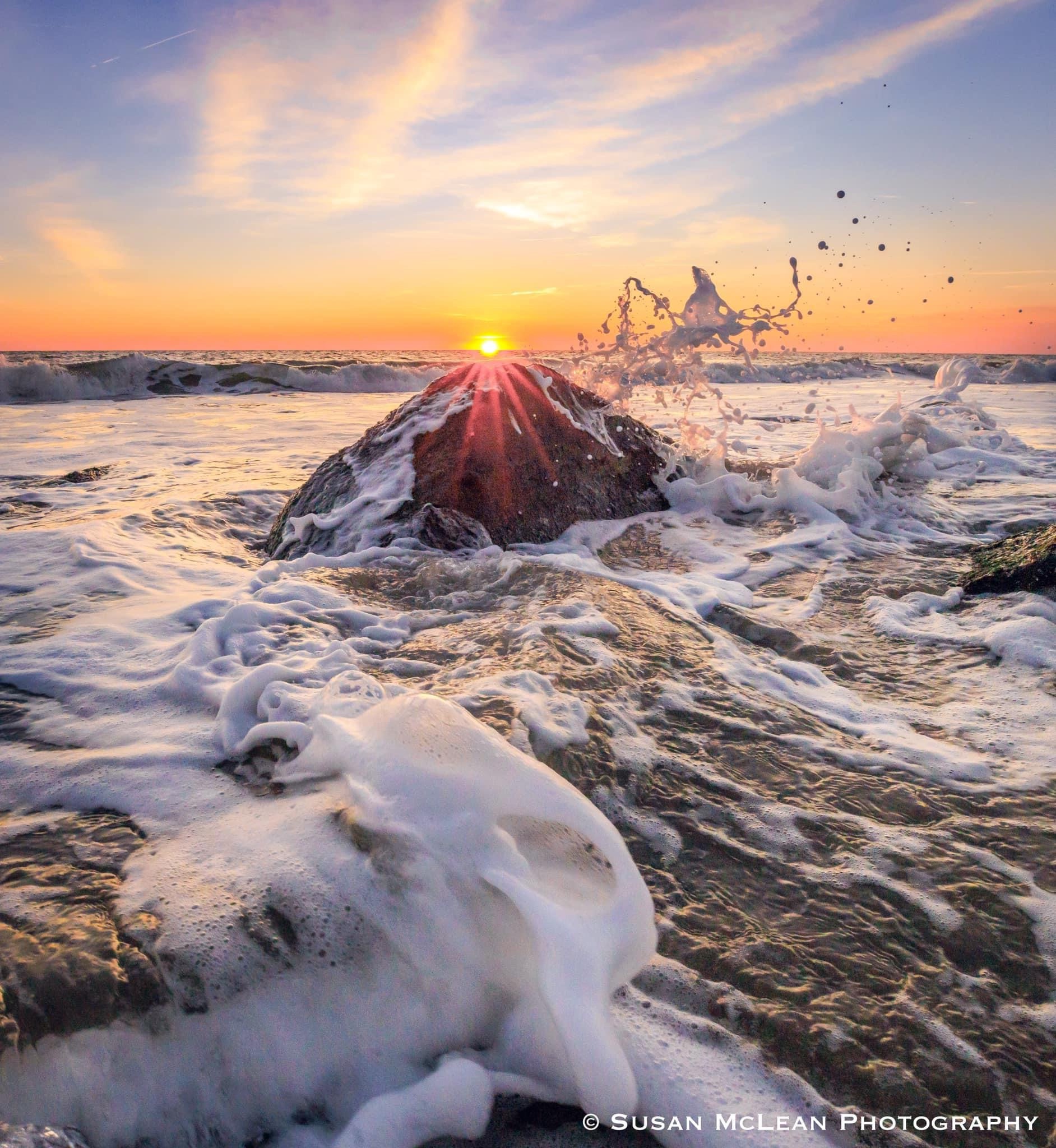 The Essence of Life: Water