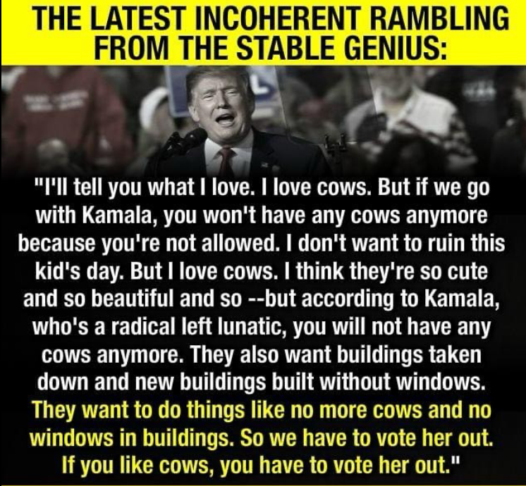 I adore cows, but Kamala just said 'no cows'?! Am I losing my mind?