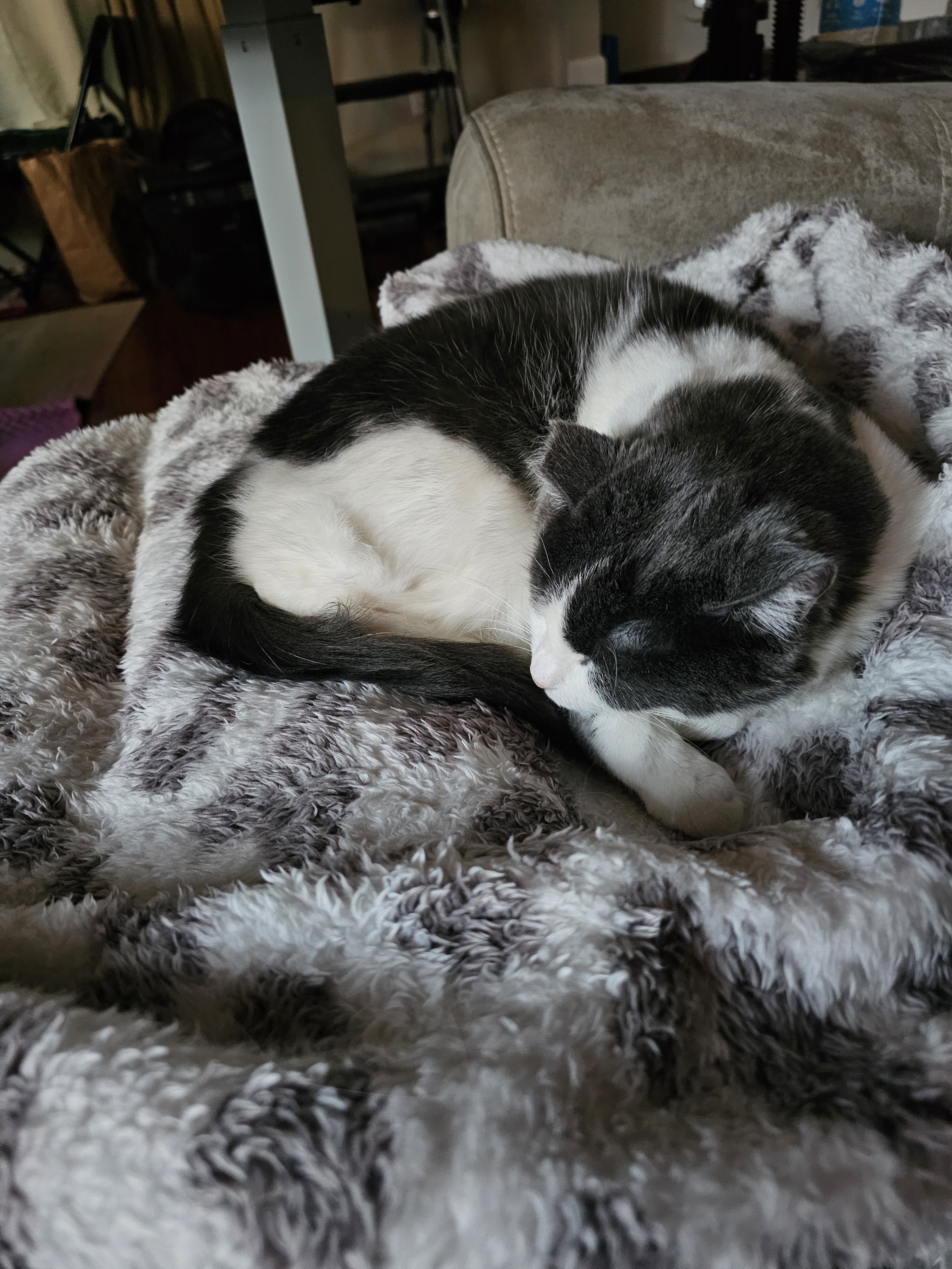 The Joy of Sunday Naps