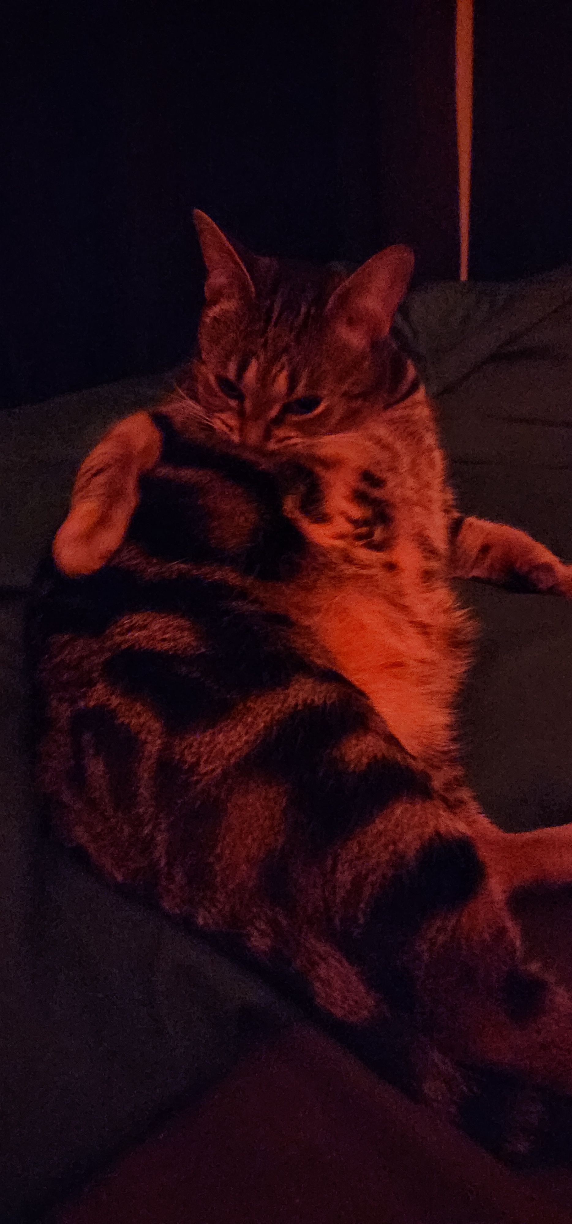 Caught in the Act: Grooming Gone Wrong!