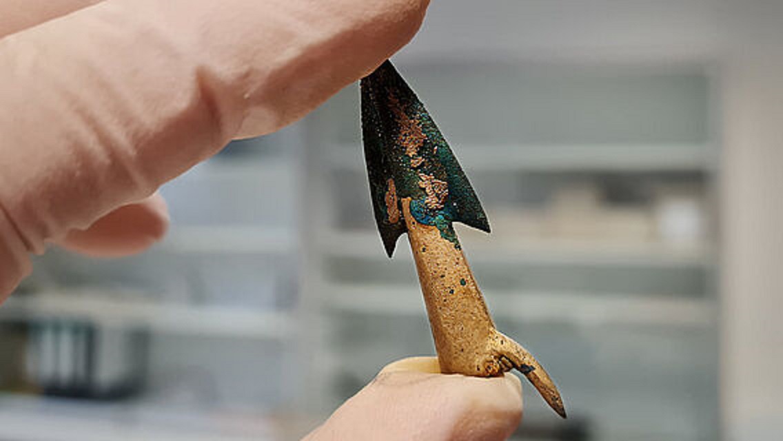 Unearthed an arrowhead in the Tollensetal region...