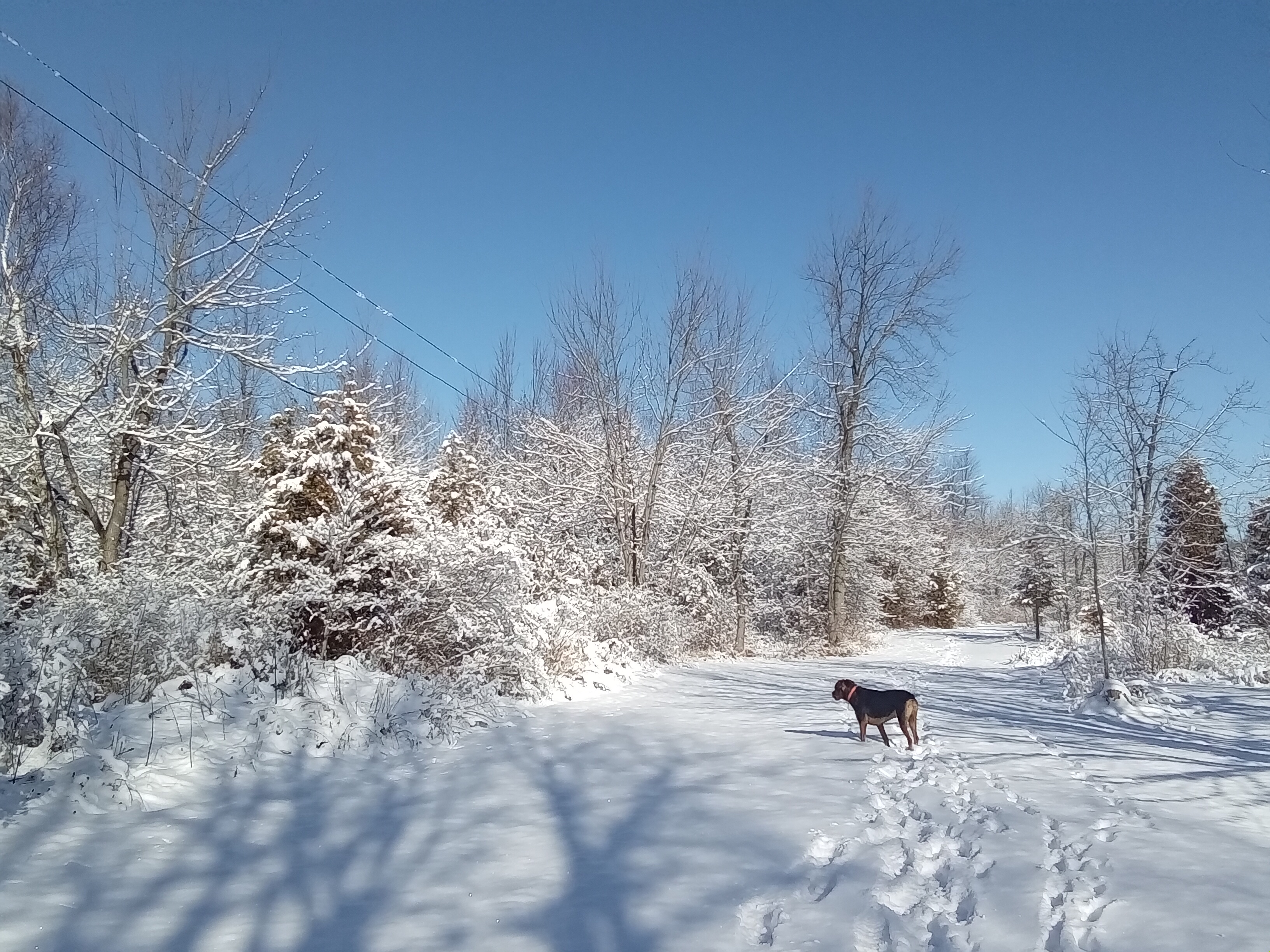 A Winter Wonderland for Snow Lovers