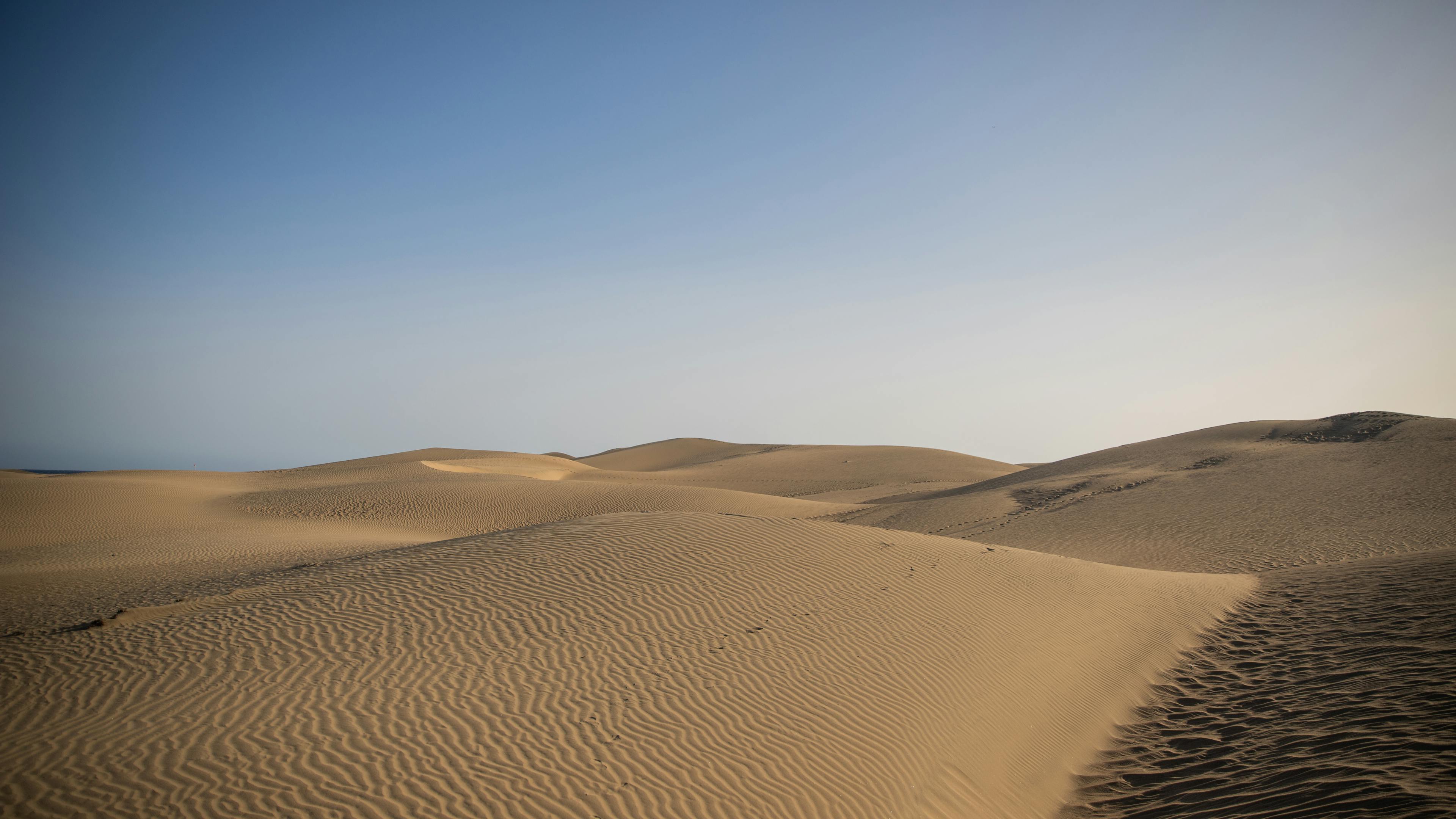 Exploring the Majestic Sand Dunes of Maspalomas