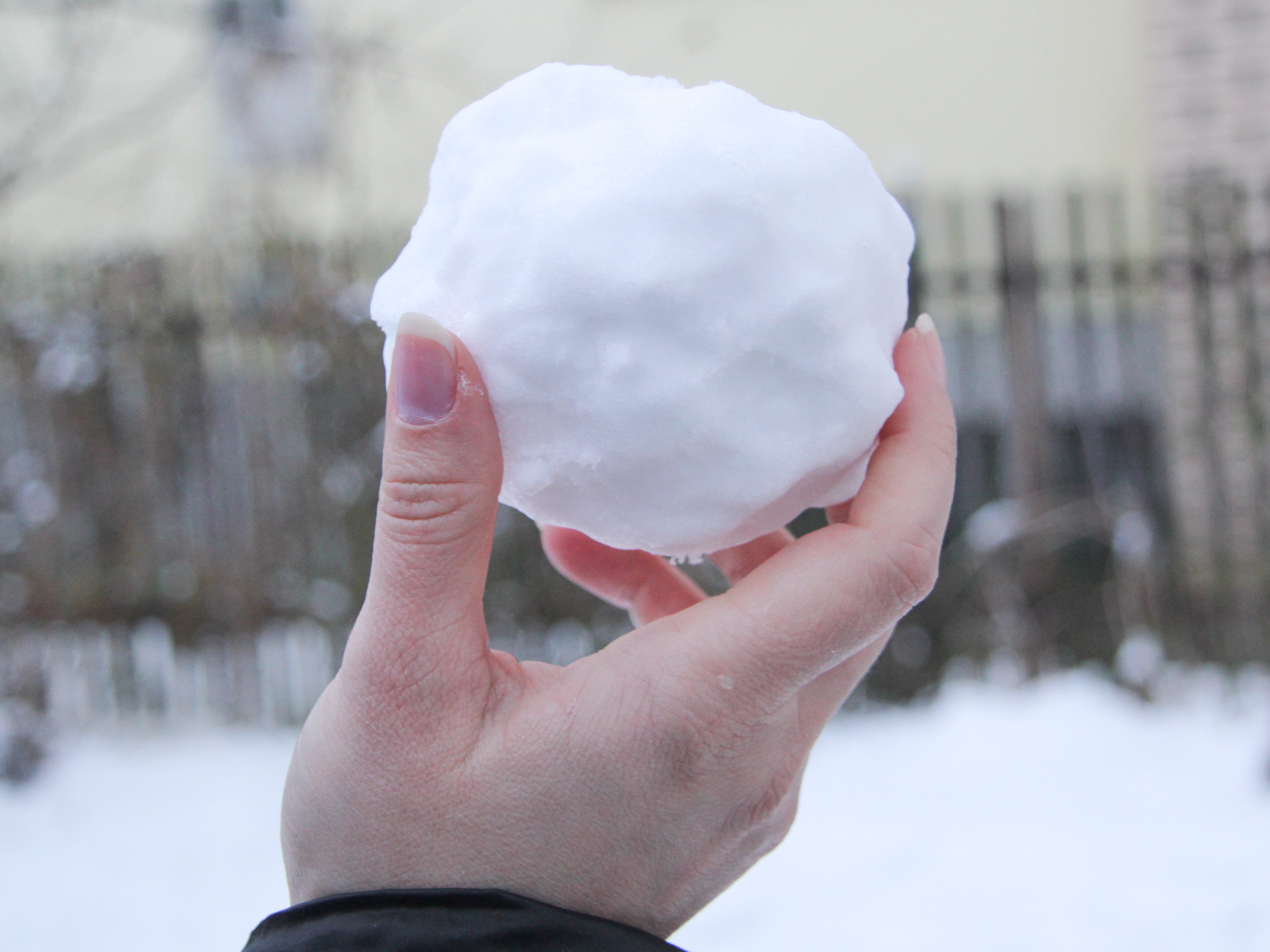 Snowballs: The Secret to Gaining Upvotes