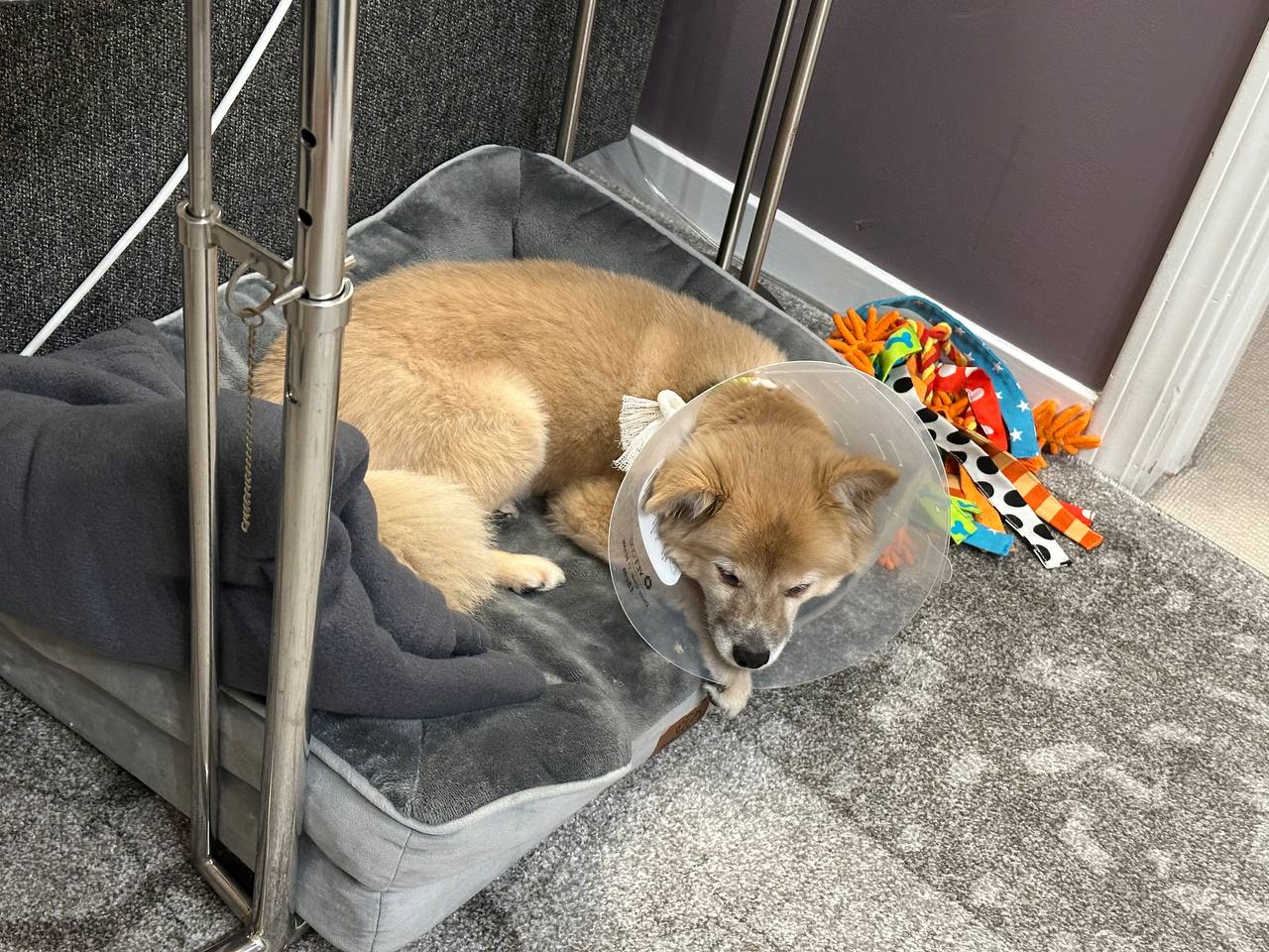 She's doing just fine, thank you!