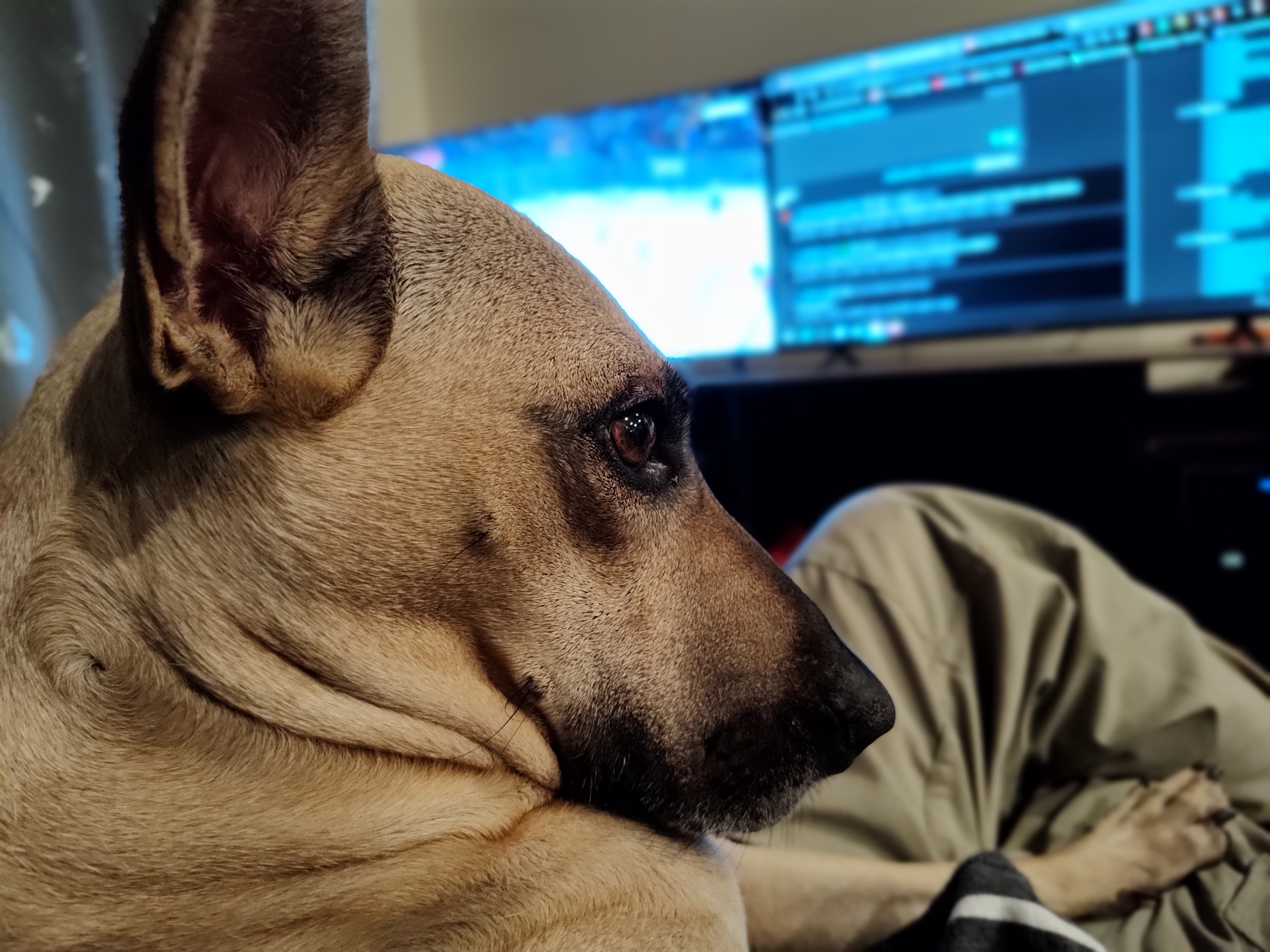 Maggie makes it nearly impossible to focus on the hockey game.