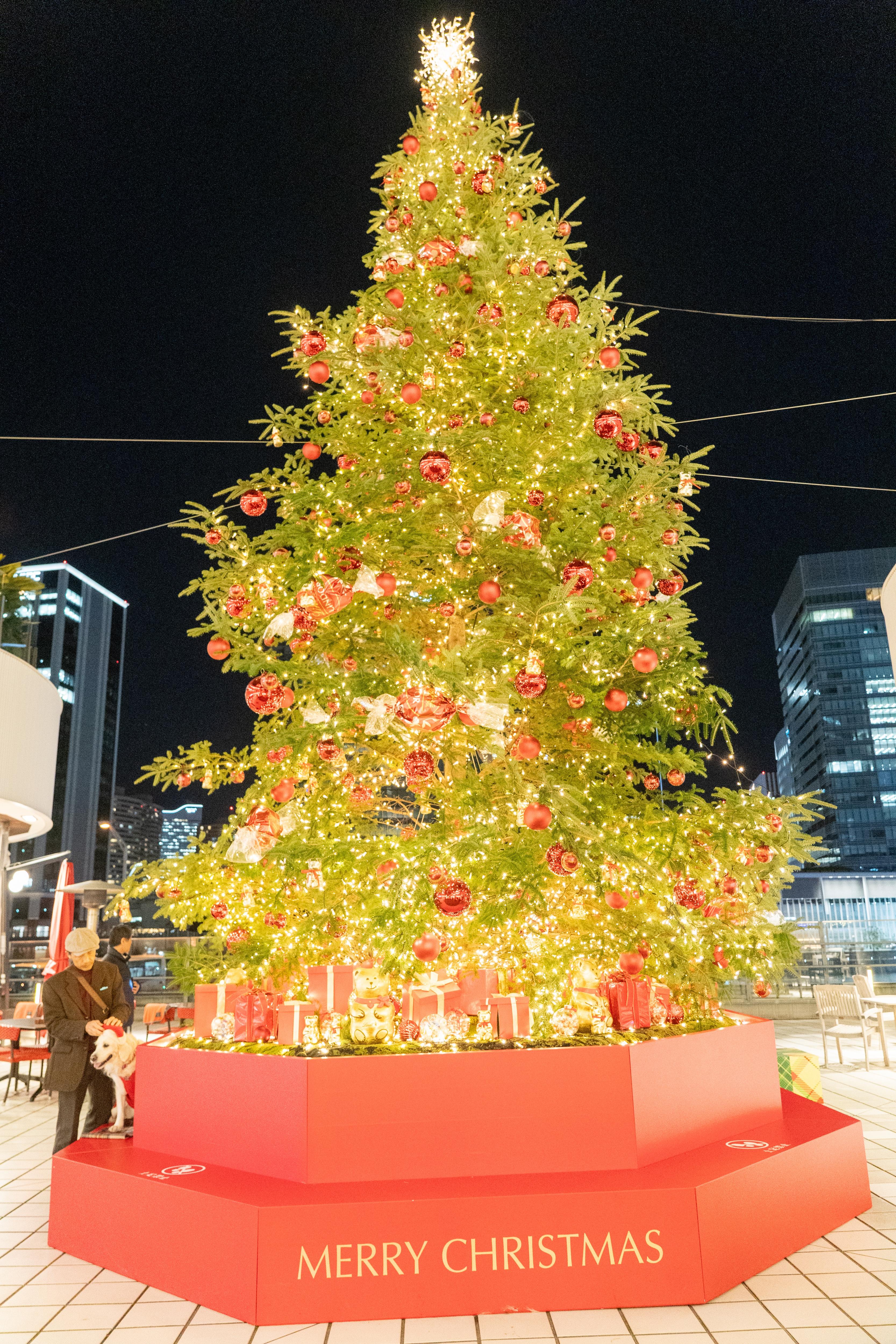 The Unique Charm of a Japanese Christmas Tree