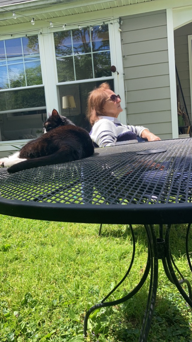 Heartwarming Moments: The Grandmother and Her Beloved Cat
