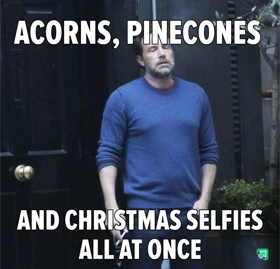 Acorns, Pinecones, and Selfies: The Perfect Trio
