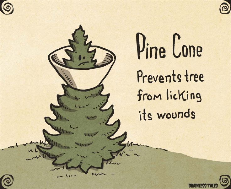I Got Recruited and Now I'm a Pine Cone!